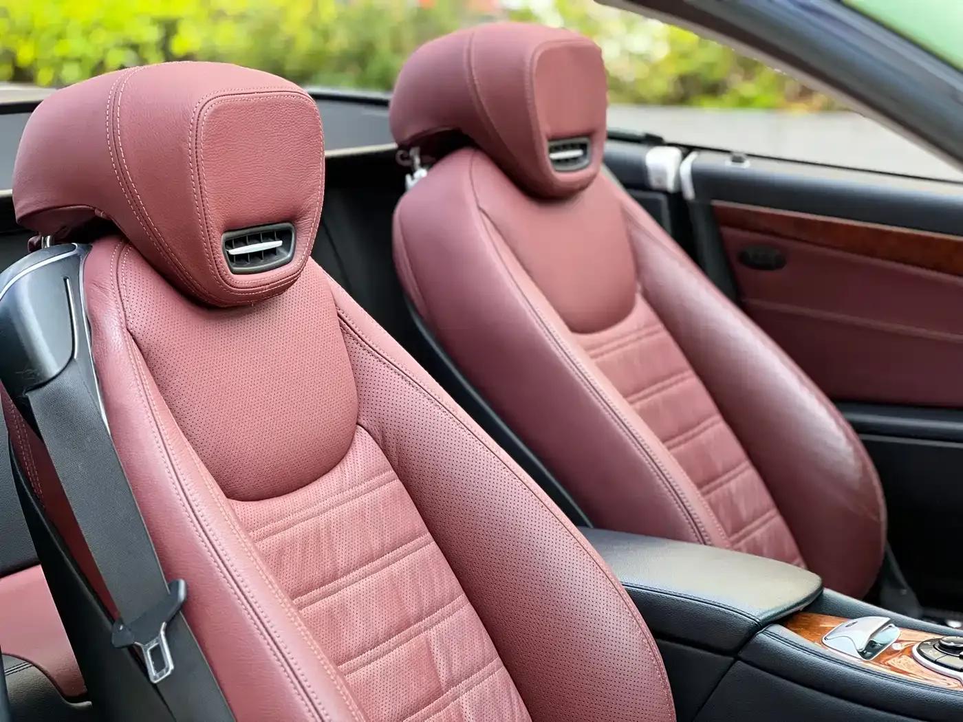 Mercedes-Benz SL-Class 2010 SL 300 — миниатюра 19