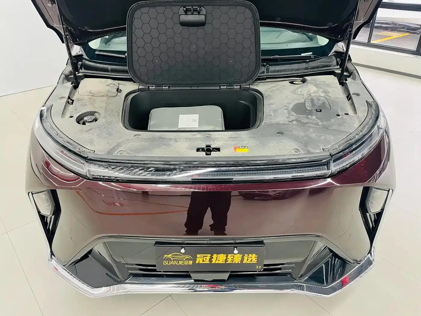 Everyone 9 2025 Long Range Forest 6-Seater Edition — миниатюра 2