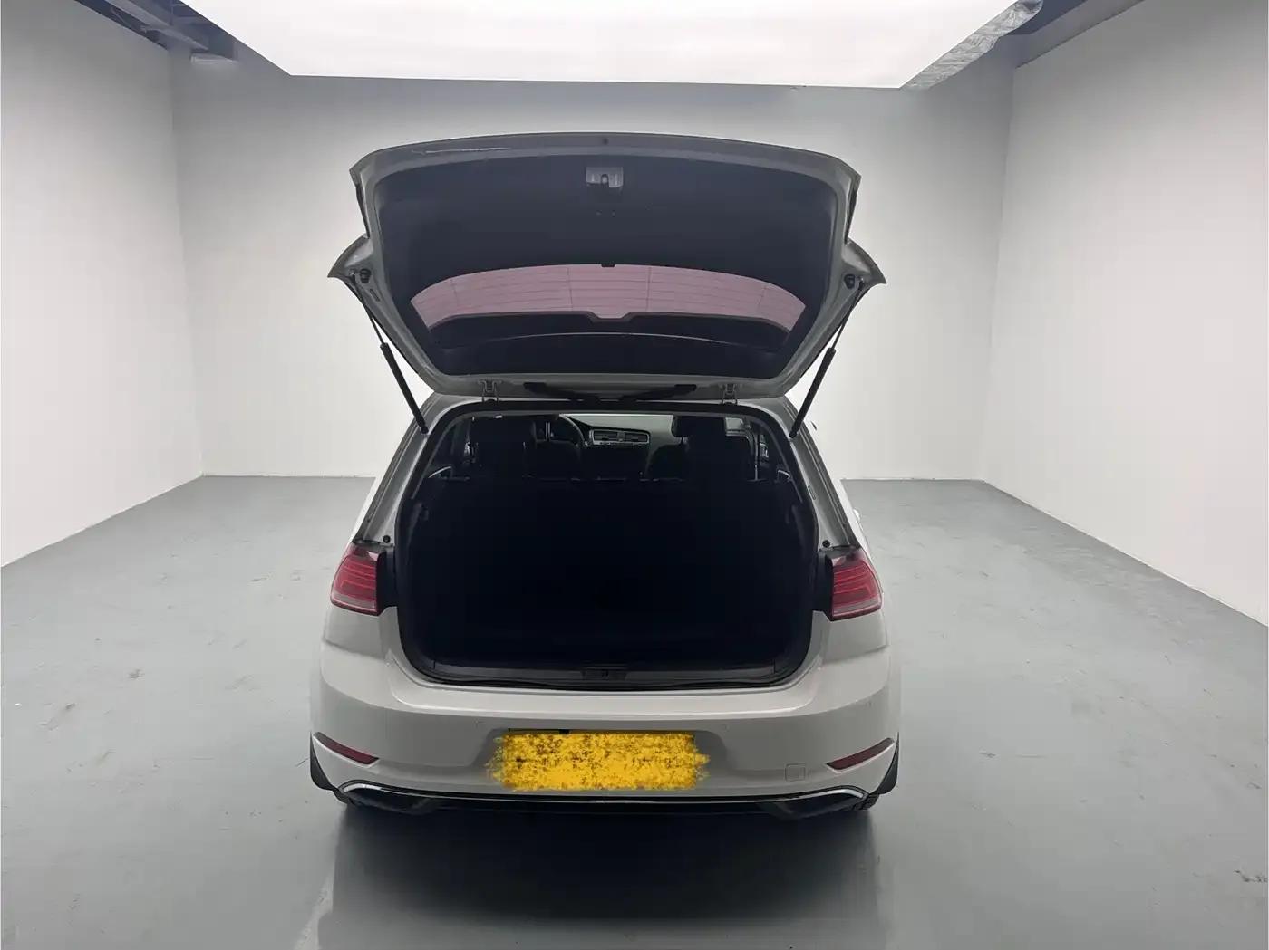 2020 Golf EV — миниатюра 12