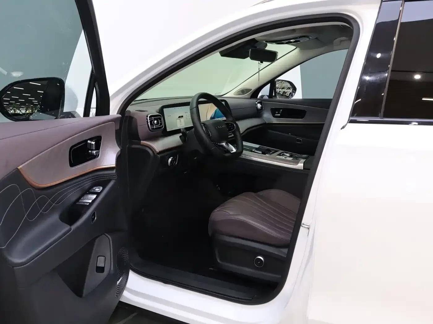 Fengyun T10 2025 Model 210 Luxury Edition — миниатюра 6