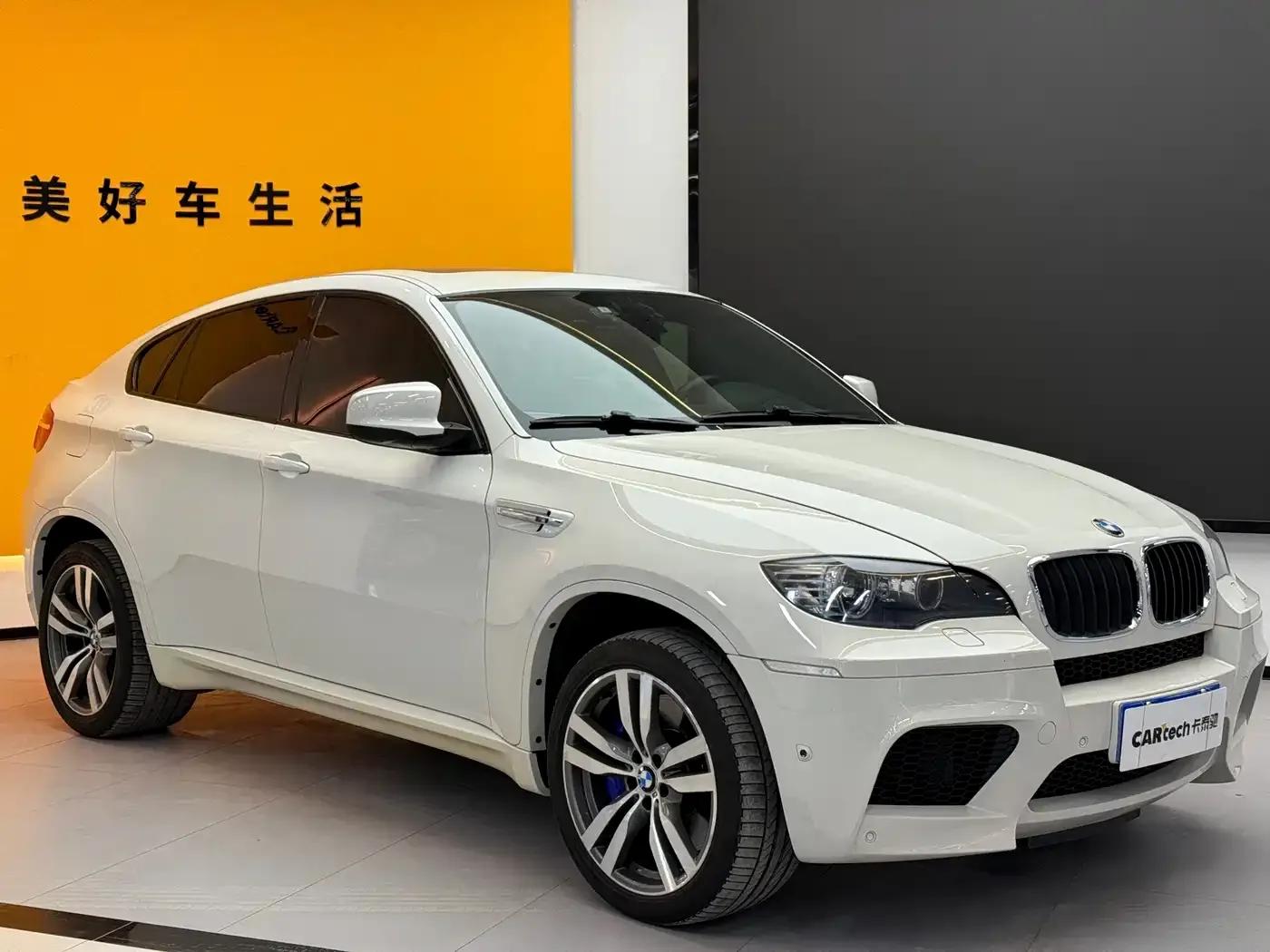 2013 BMW X6 M — миниатюра 2