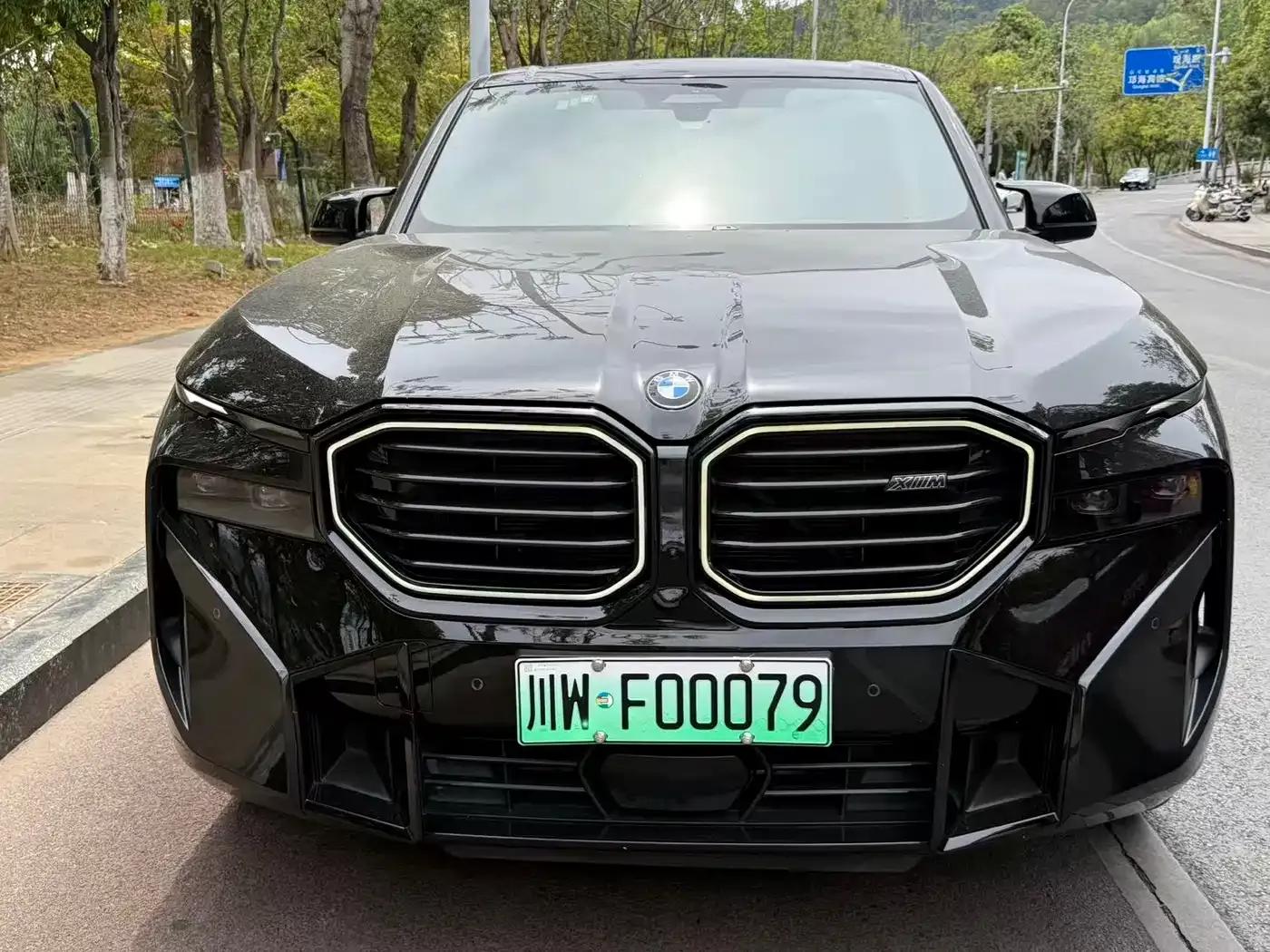 BMW XM 2023 50e — миниатюра 2