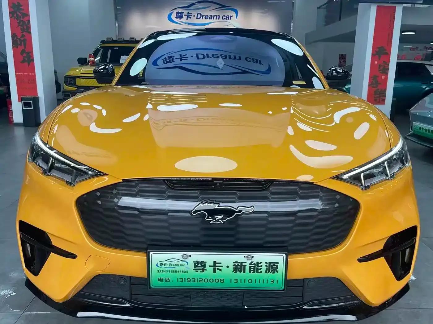 Ford Electric GT 2024 — миниатюра 1