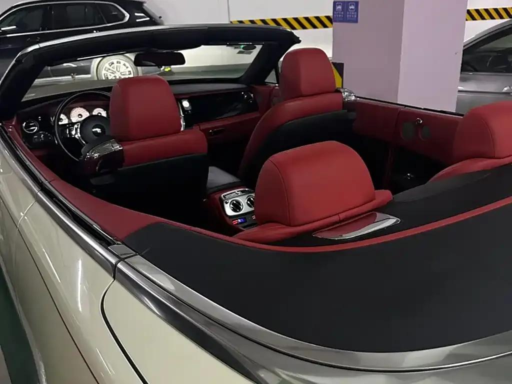 2015 Dawn 6.6T Standard Edition — миниатюра 9