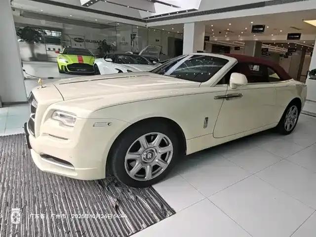 2015 Dawn 6.6T Standard Edition