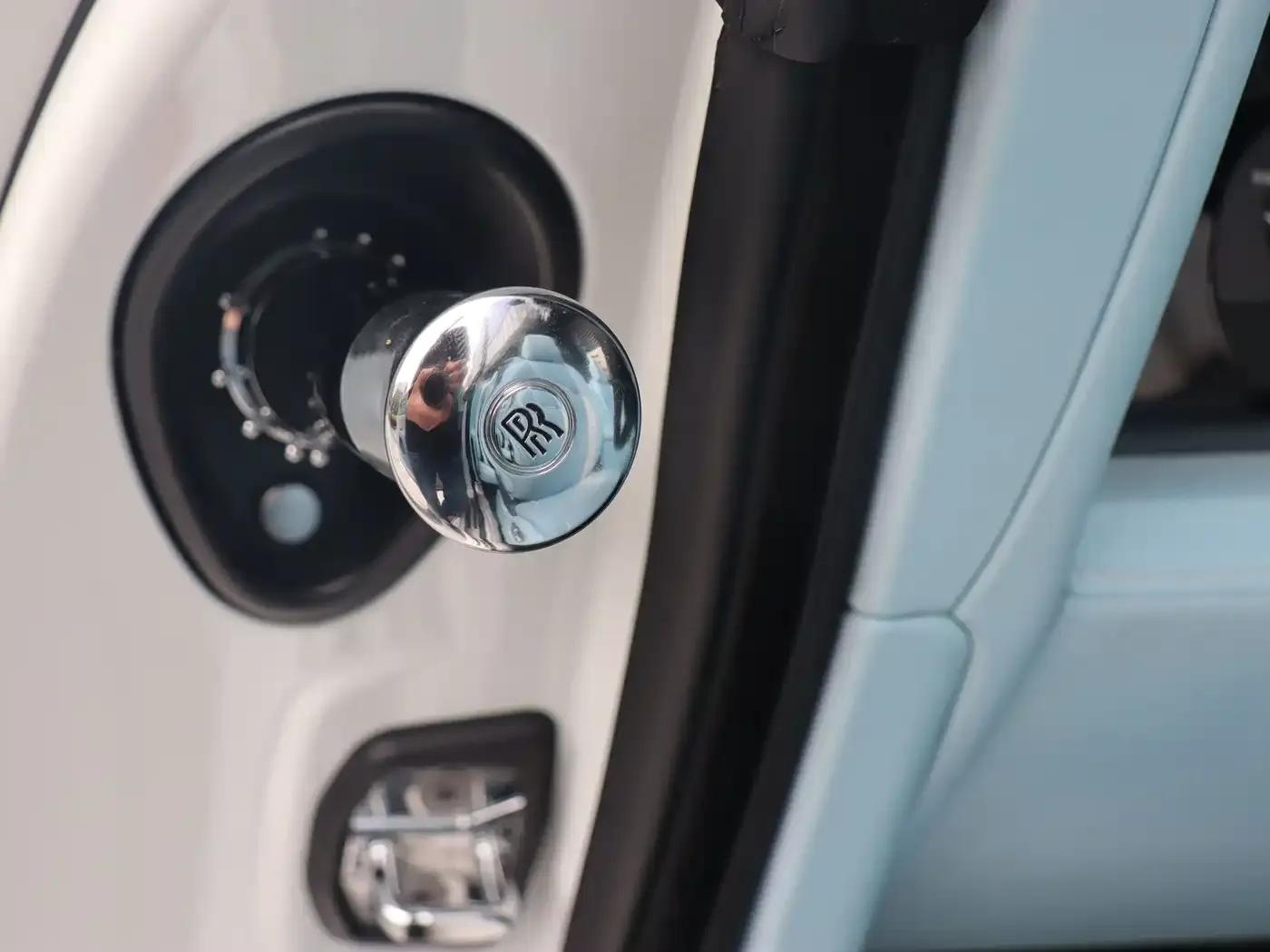 2018 Dawn 6.6T Standard Edition — миниатюра 11
