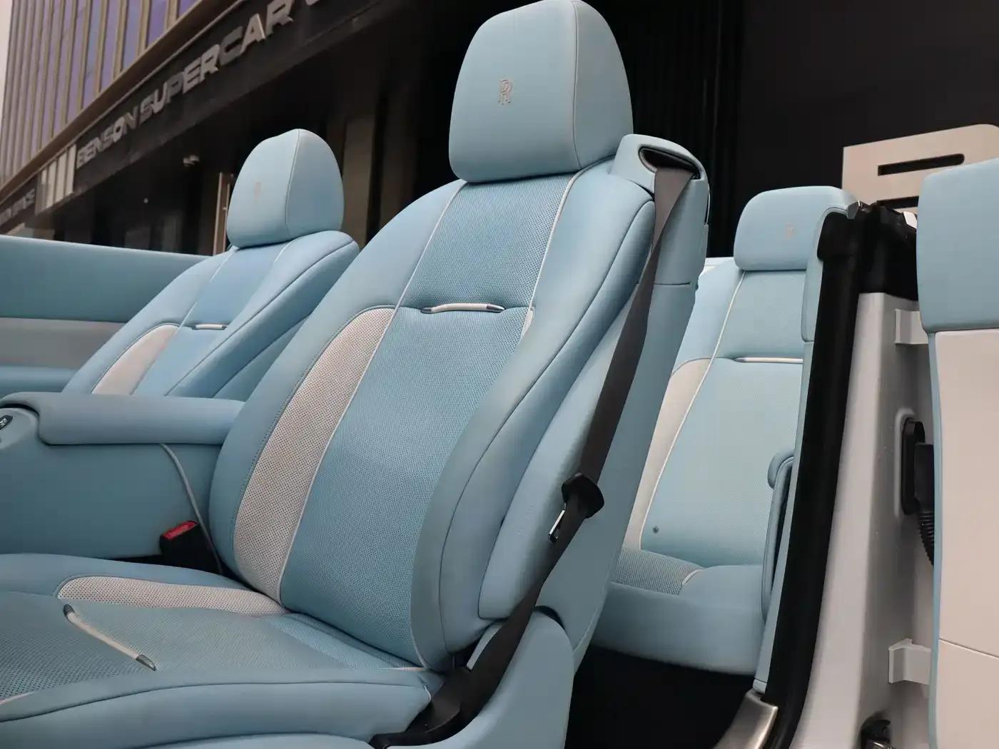 2018 Dawn 6.6T Standard Edition — миниатюра 13
