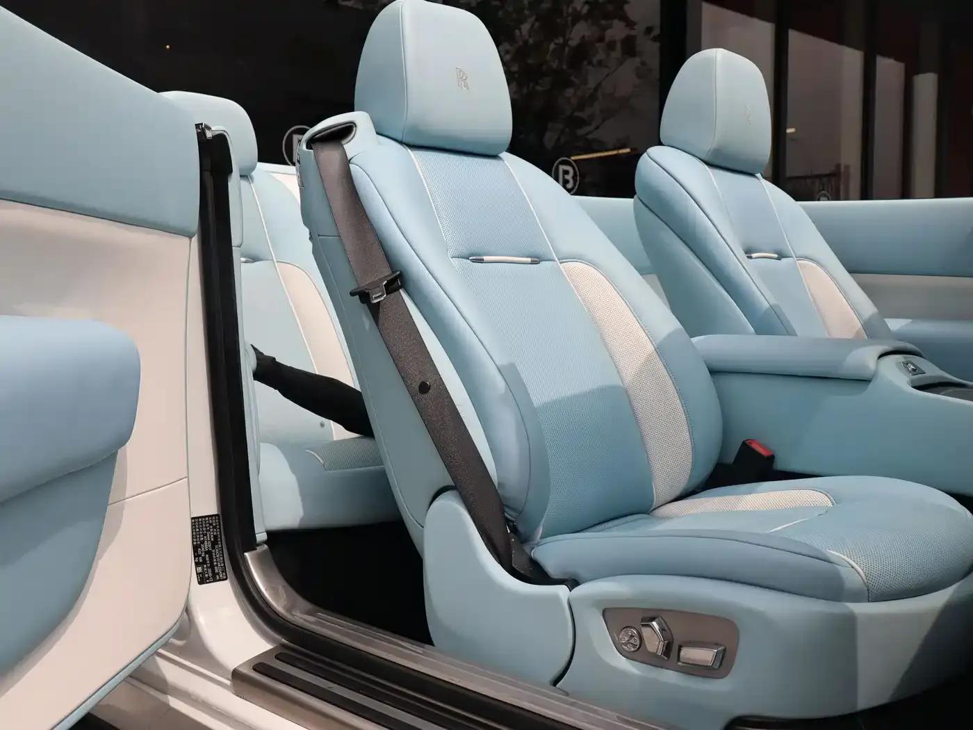 2018 Dawn 6.6T Standard Edition — миниатюра 14