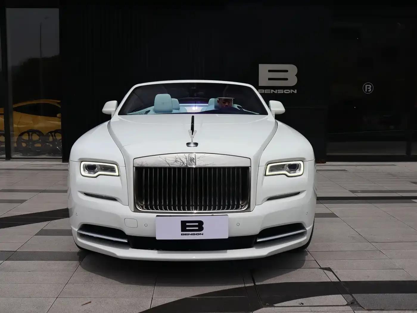 2018 Dawn 6.6T Standard Edition — миниатюра 3