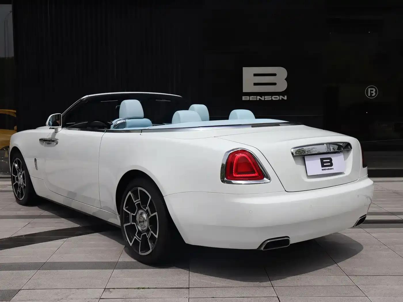 2018 Dawn 6.6T Standard Edition — миниатюра 6