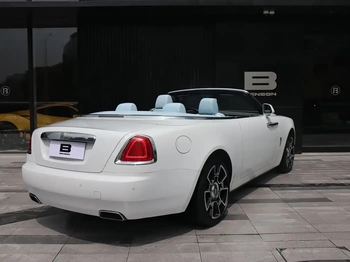 2018 Dawn 6.6T Standard Edition — миниатюра 7