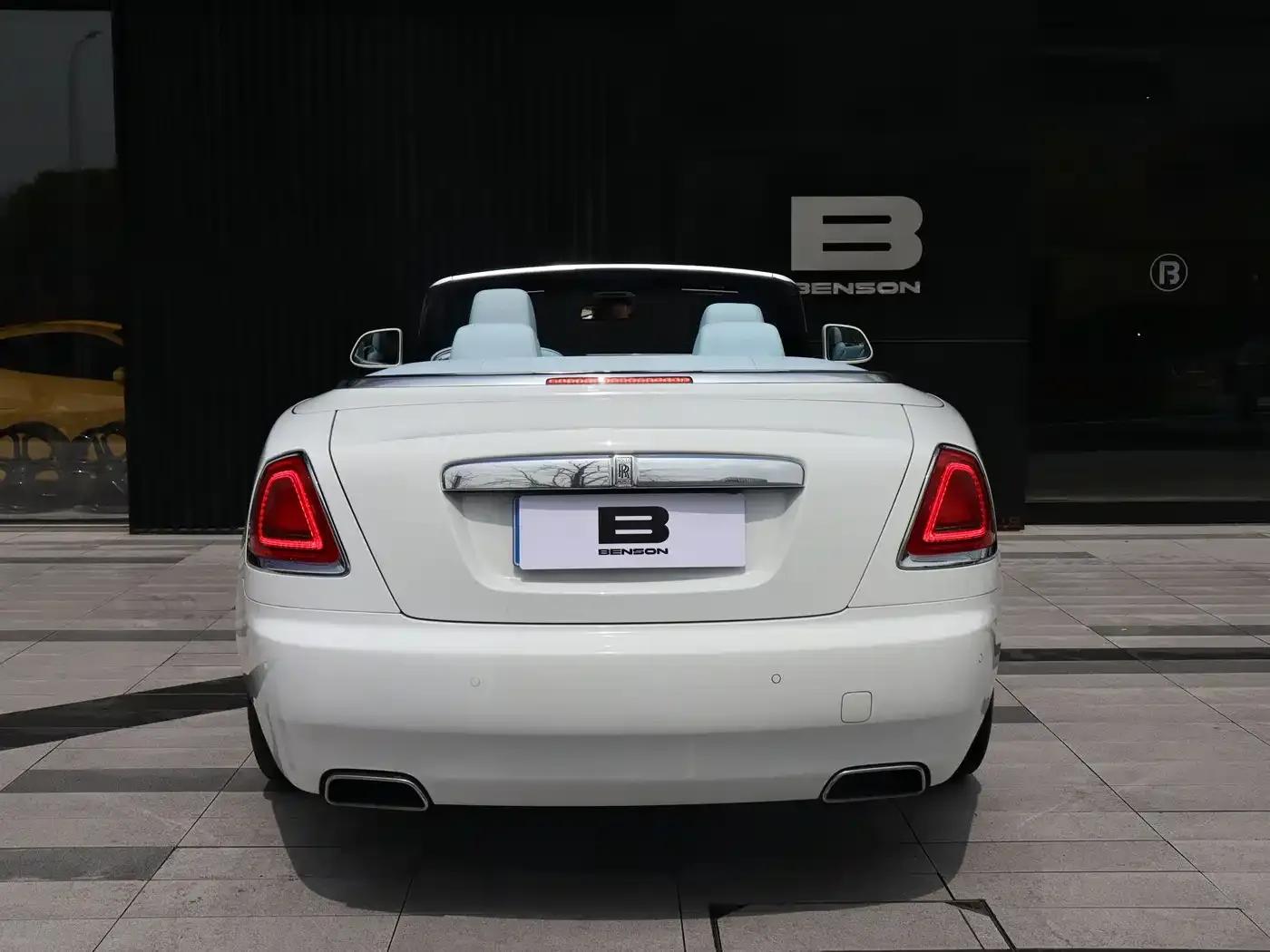 2018 Dawn 6.6T Standard Edition — миниатюра 8