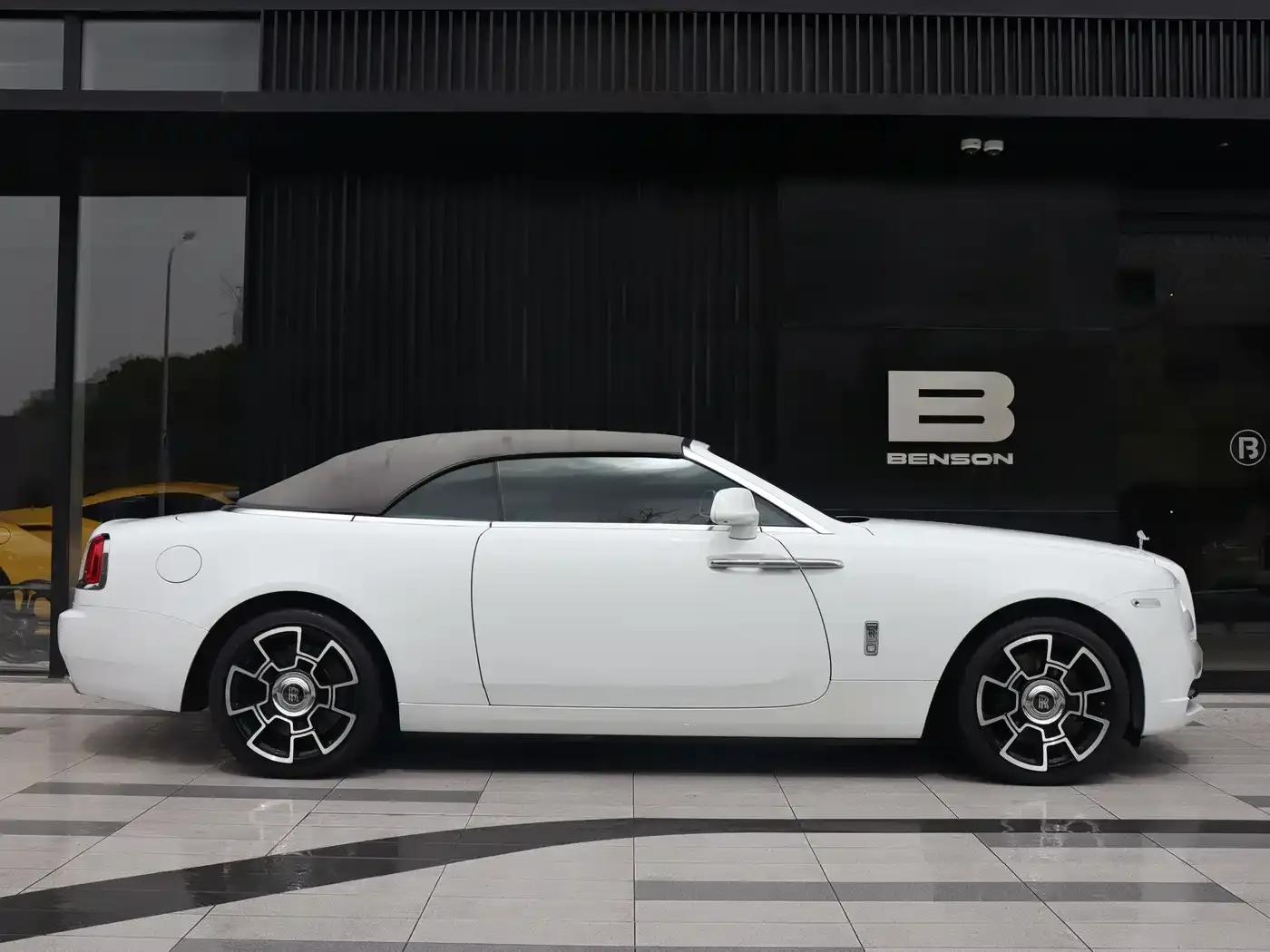2018 Dawn 6.6T Standard Edition — миниатюра 9