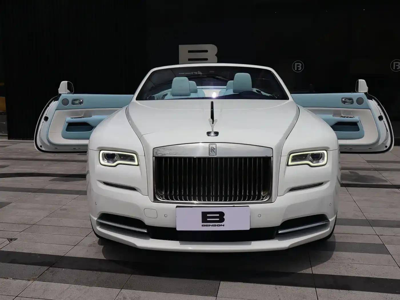 2018 Dawn 6.6T Standard Edition — миниатюра 10