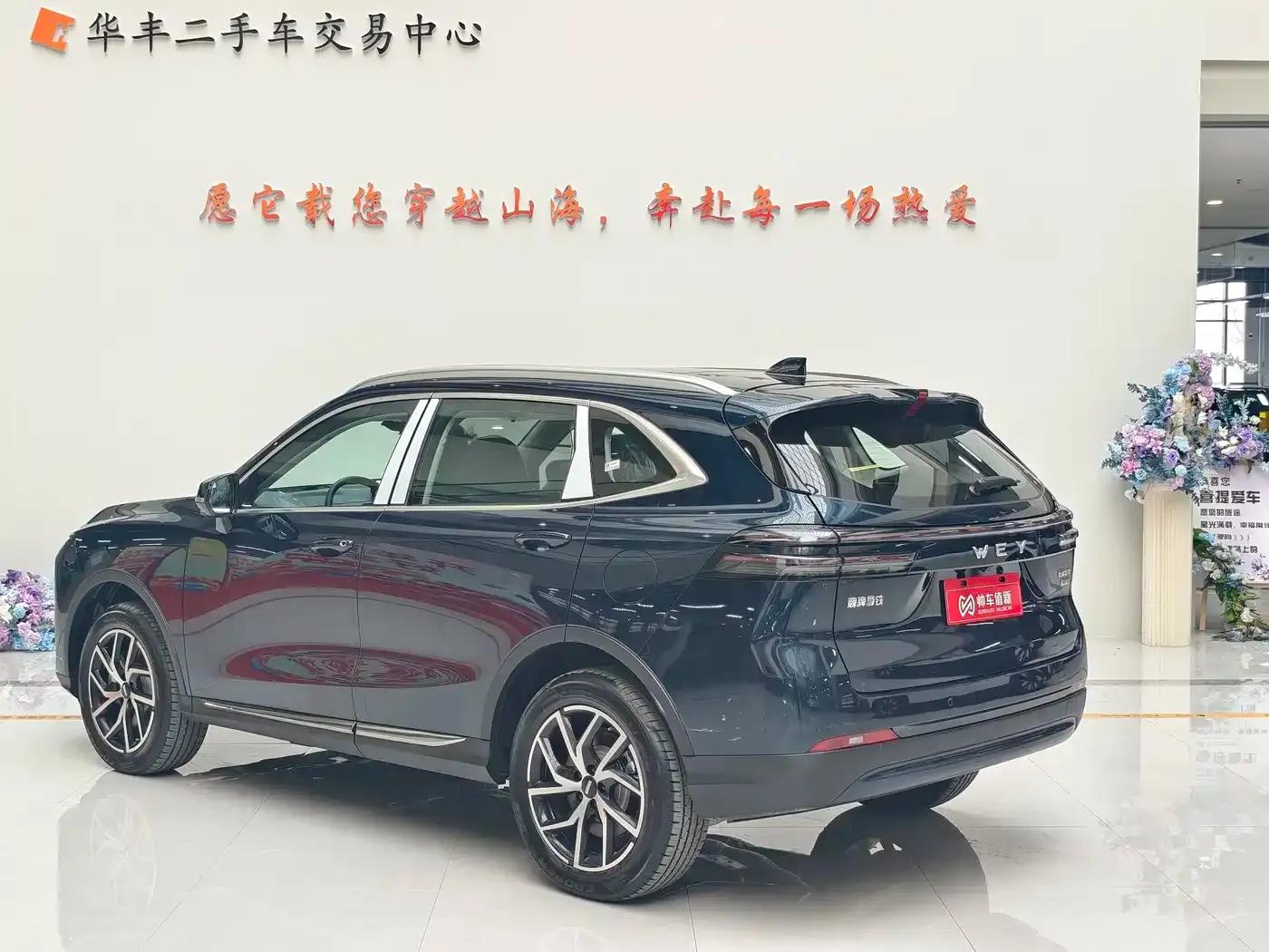 Weipai Latte DHT-PHEV 2022 1.5T AWD Super Large Cup — миниатюра 8