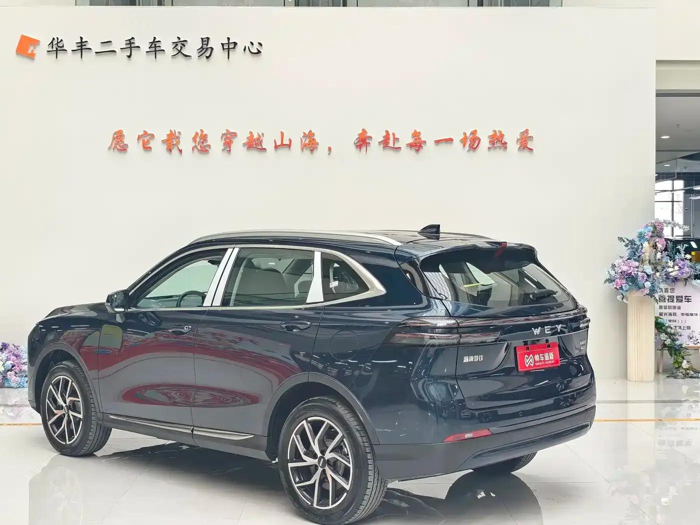 Weipai Latte DHT-PHEV 2022 1.5T AWD Super Large Cup — миниатюра 9