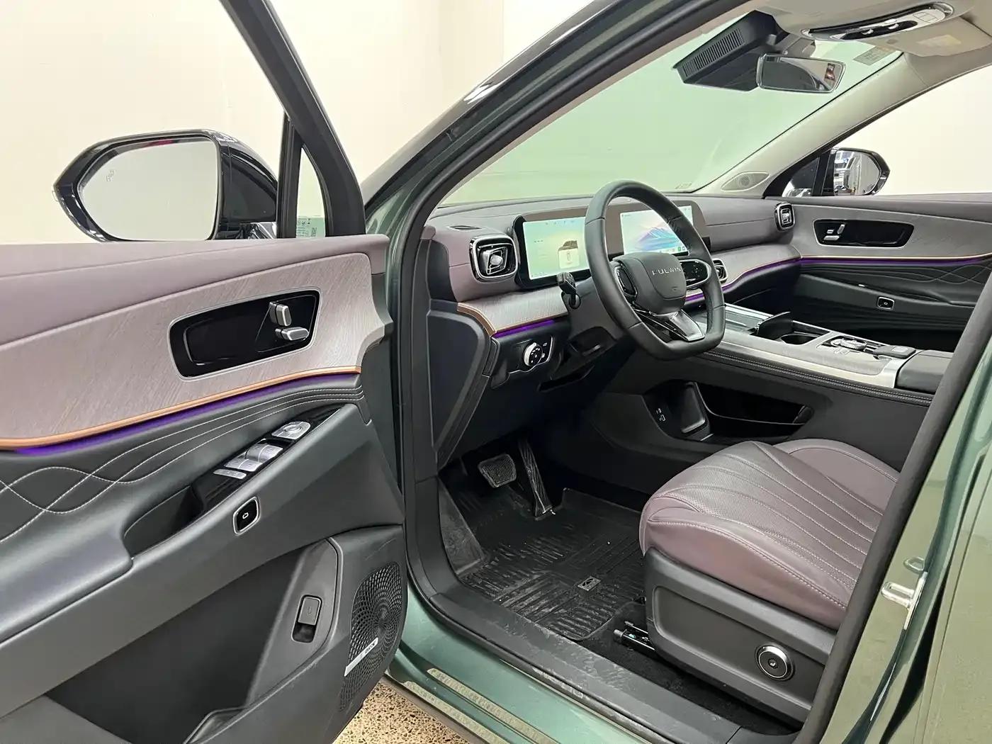 Fengyun T10 2024 Model 210 Luxury Edition — миниатюра 13