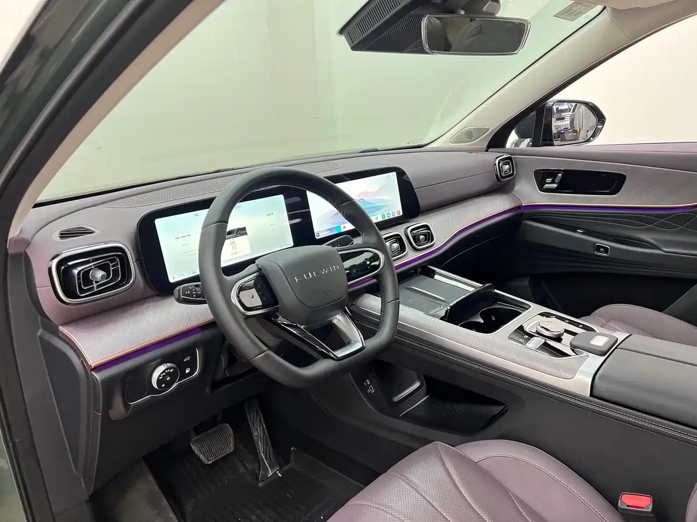 Fengyun T10 2024 Model 210 Luxury Edition — миниатюра 14
