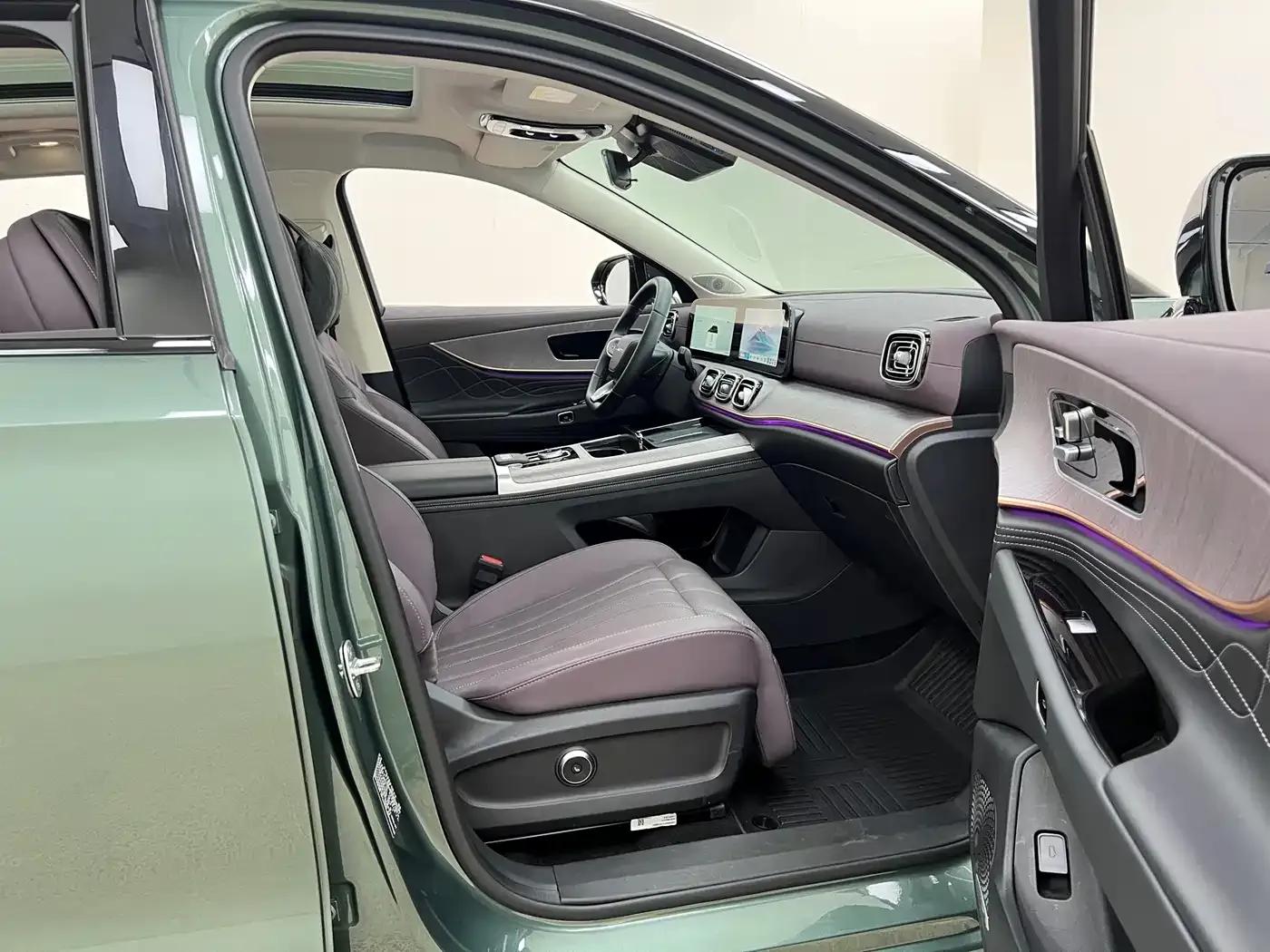 Fengyun T10 2024 Model 210 Luxury Edition — миниатюра 31