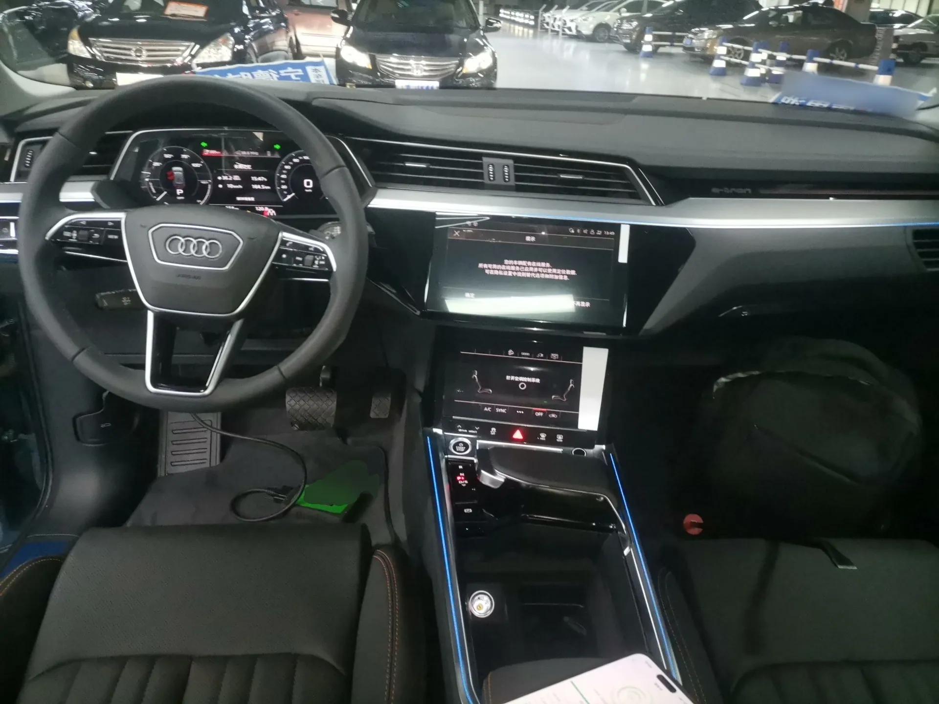 Audi e-tron 2021 50 quattro Luxury Edition — миниатюра 12