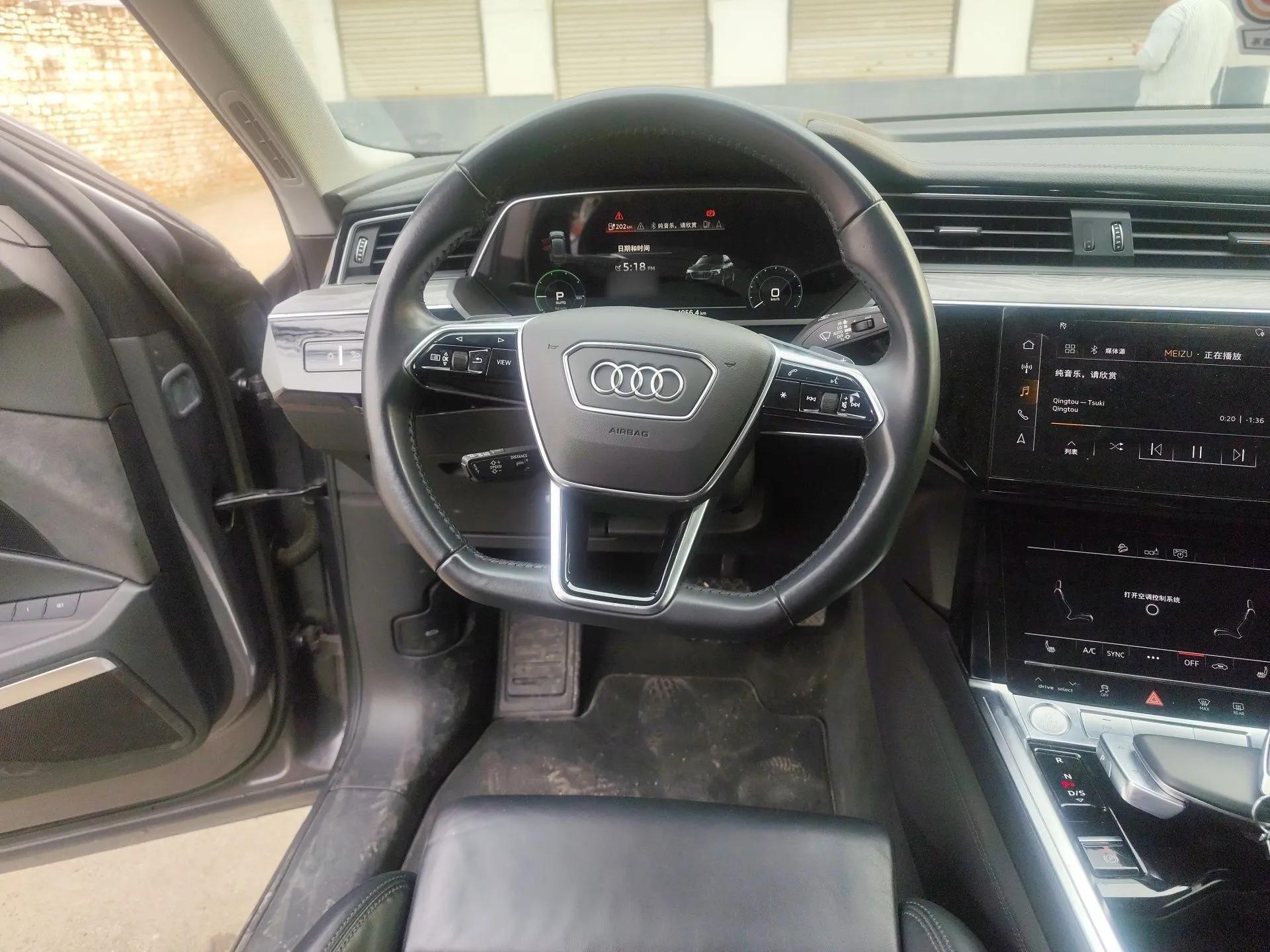 Audi e-tron 2019 55 quattro Technology Edition — миниатюра 11