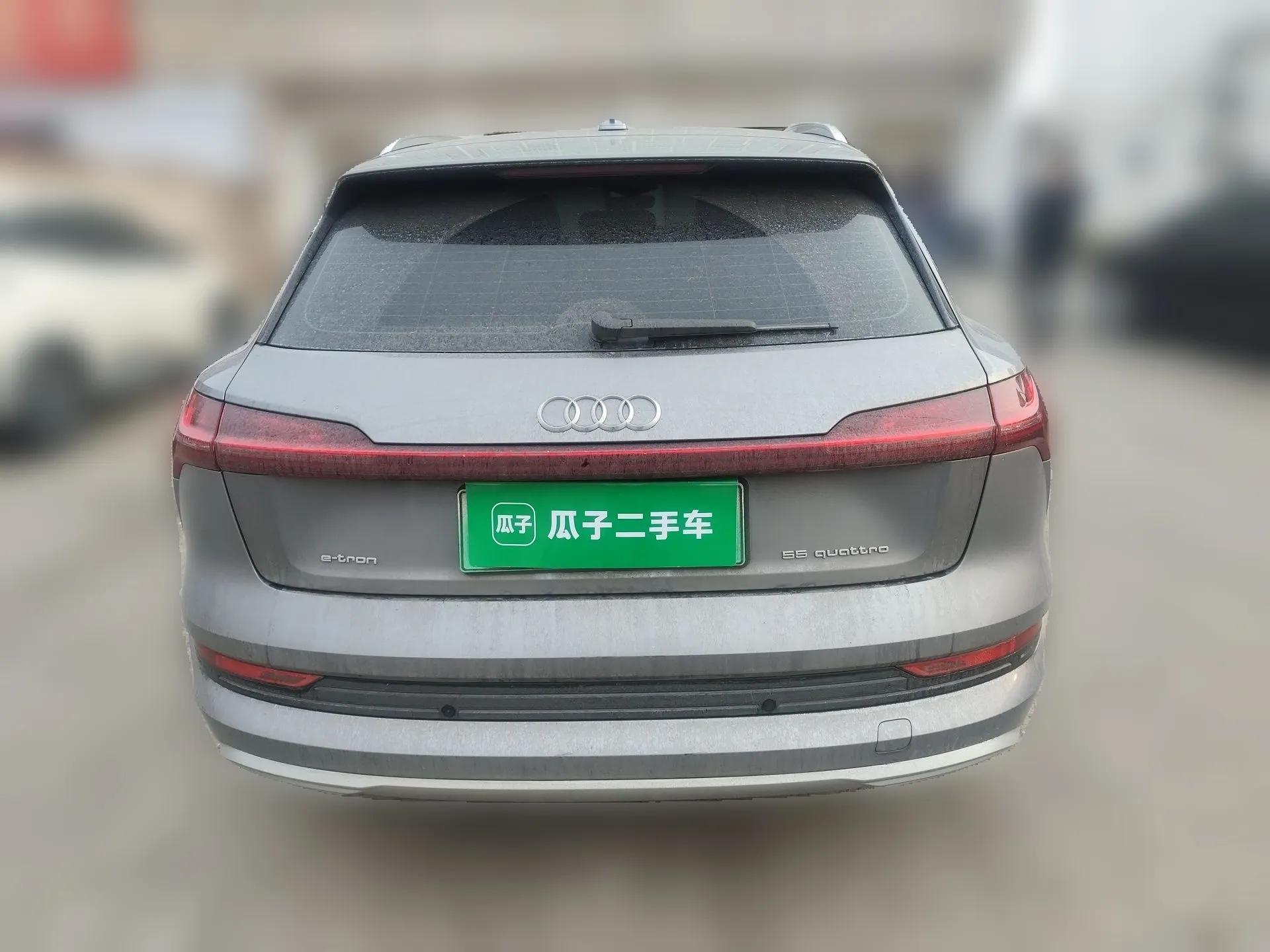 Audi e-tron 2019 55 quattro Technology Edition — миниатюра 5