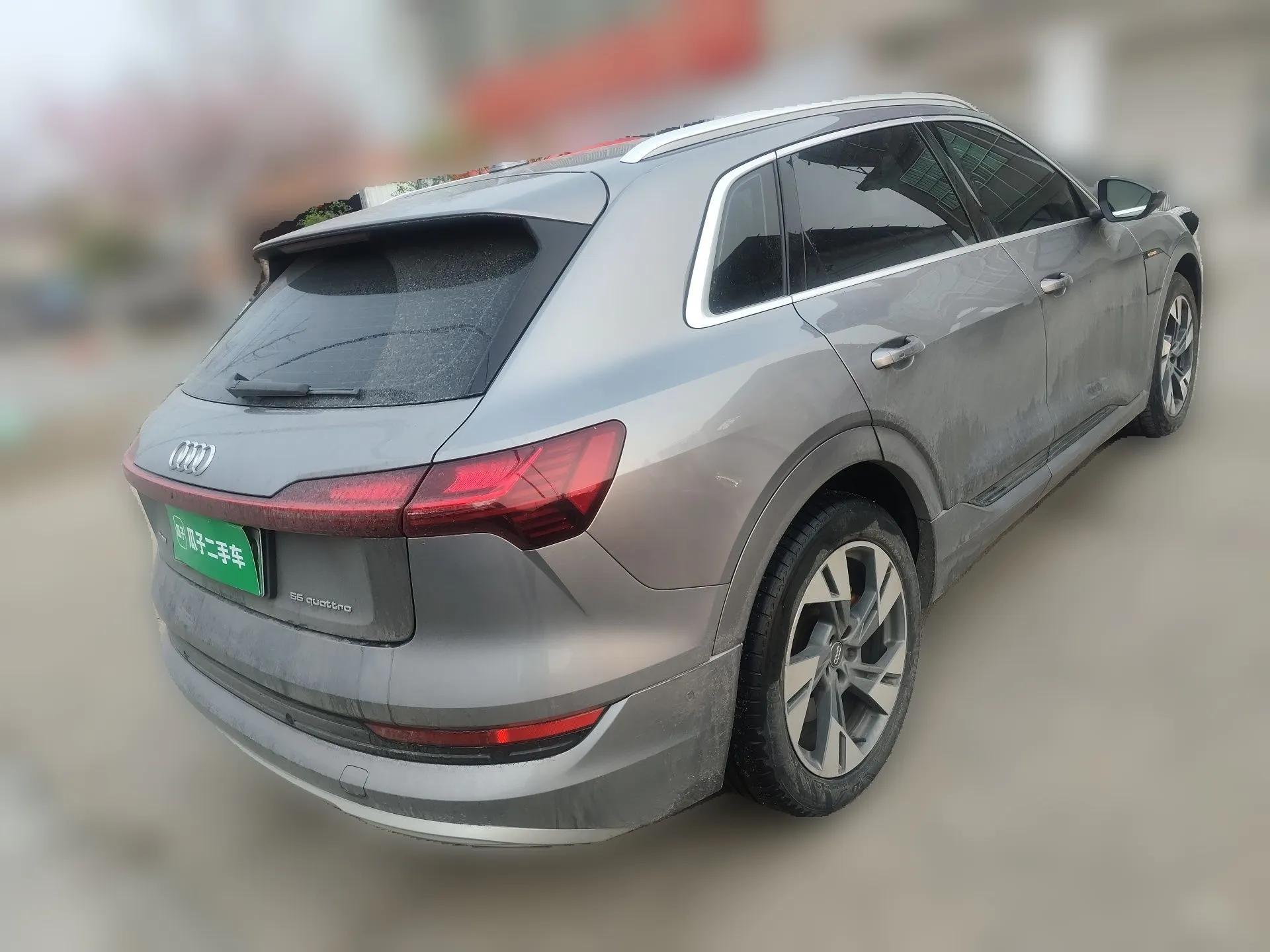 Audi e-tron 2019 55 quattro Technology Edition — миниатюра 6