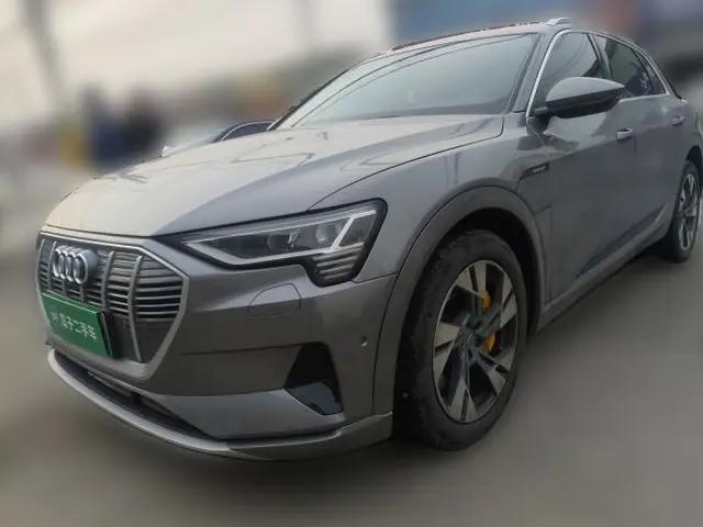 Audi e-tron 2019 55 quattro Technology Edition