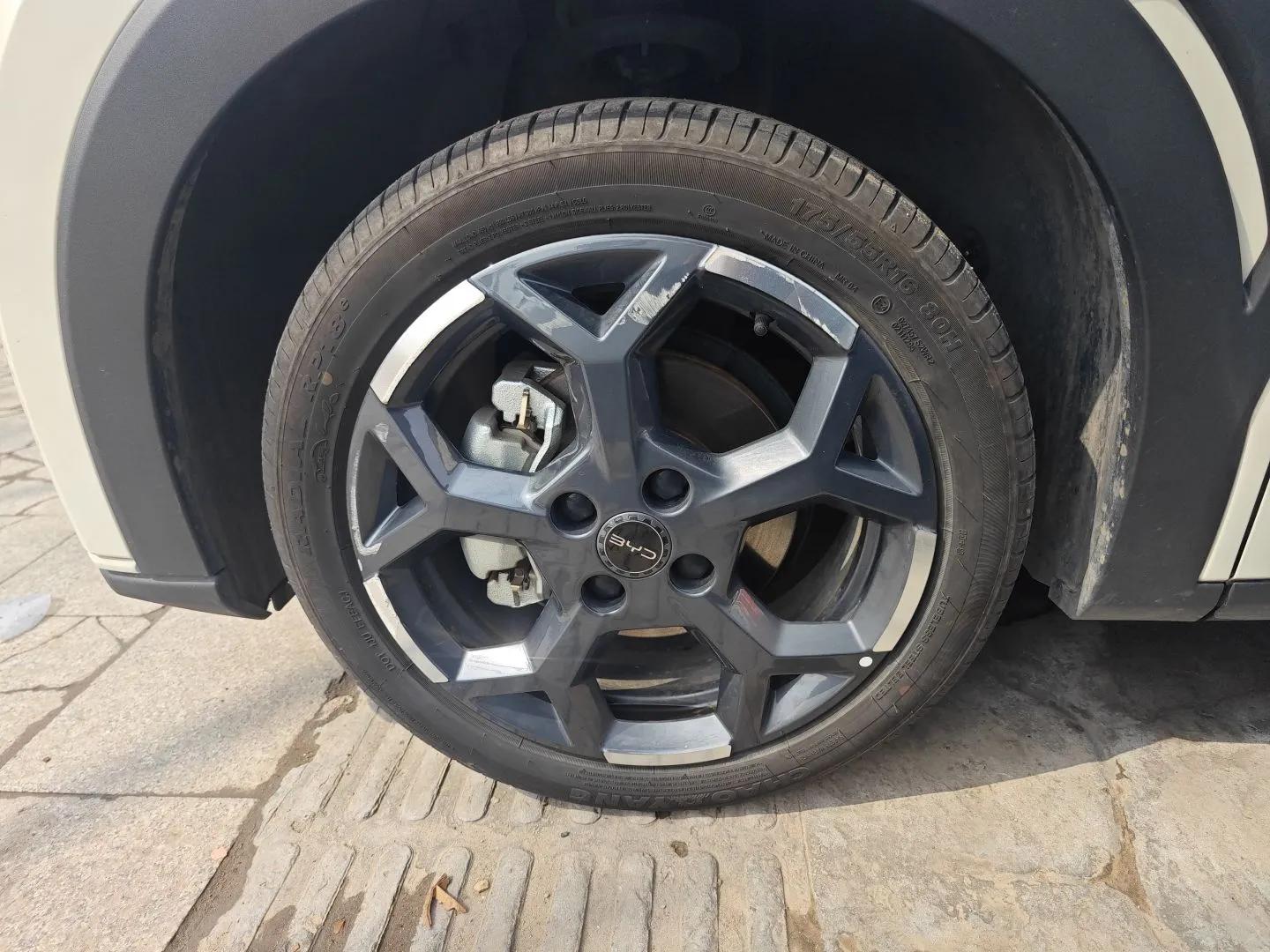 BYD Seagull 2025 305 km Free Version — миниатюра 8