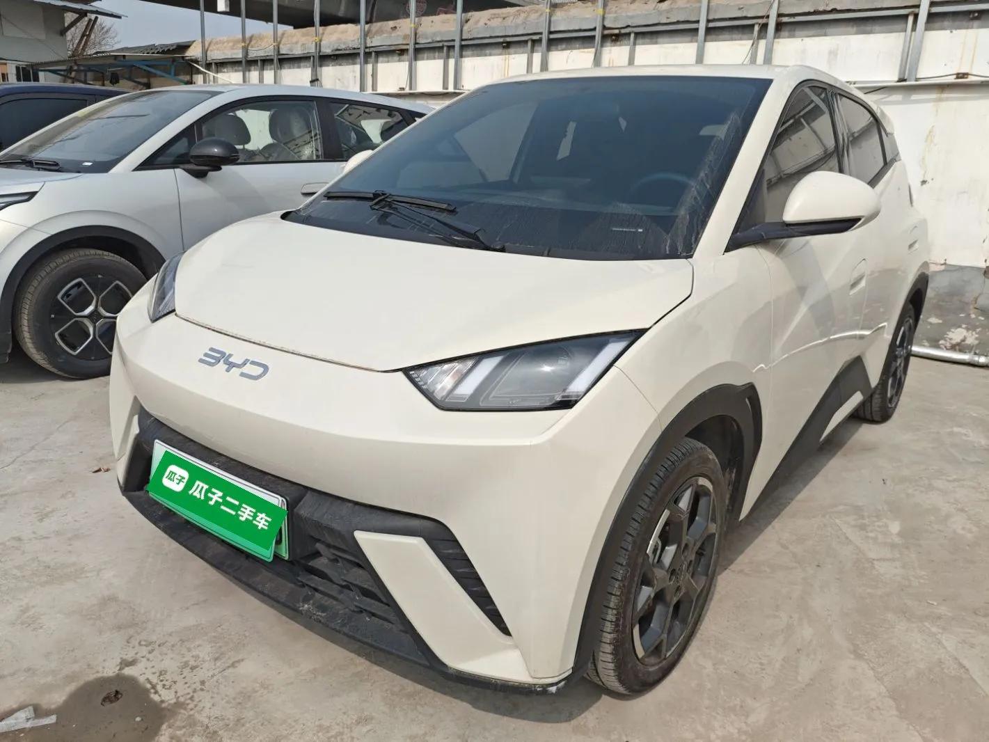 BYD Seagull 2025 305 km Free Version — миниатюра 1