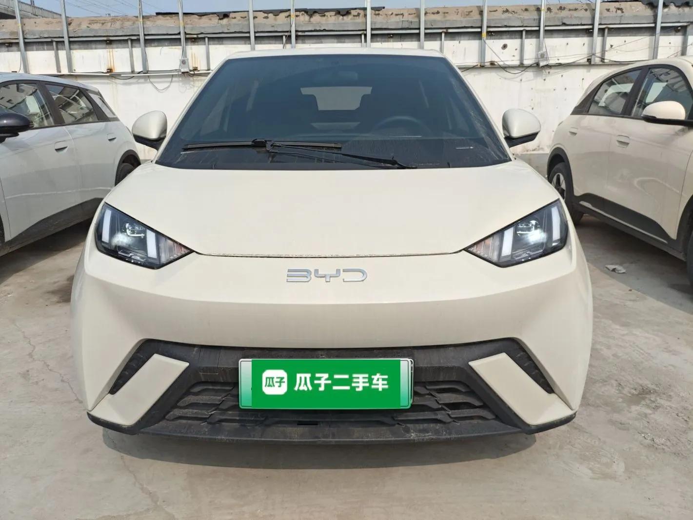 BYD Seagull 2025 305 km Free Version — миниатюра 2