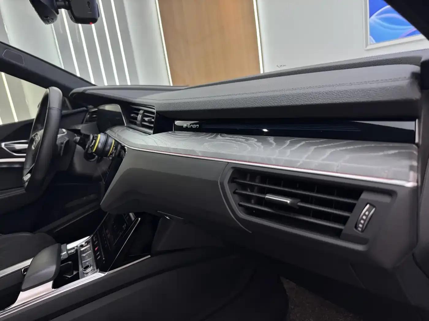 Audi e-tron 2021 50 quattro Premium Edition — миниатюра 12
