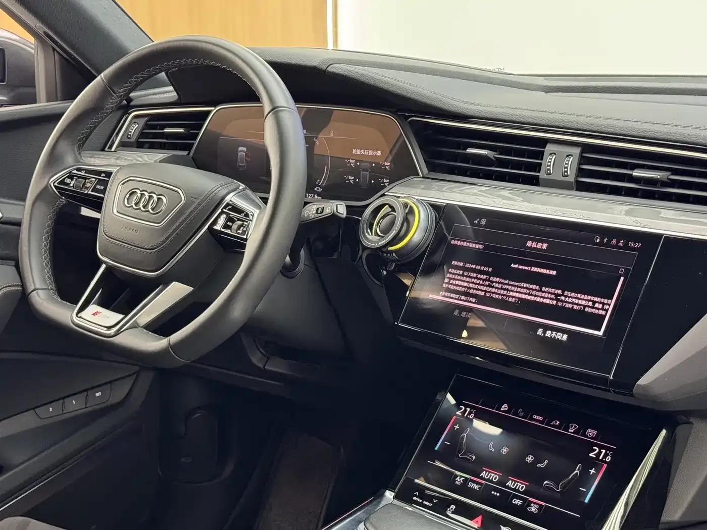 Audi e-tron 2021 50 quattro Premium Edition — миниатюра 9