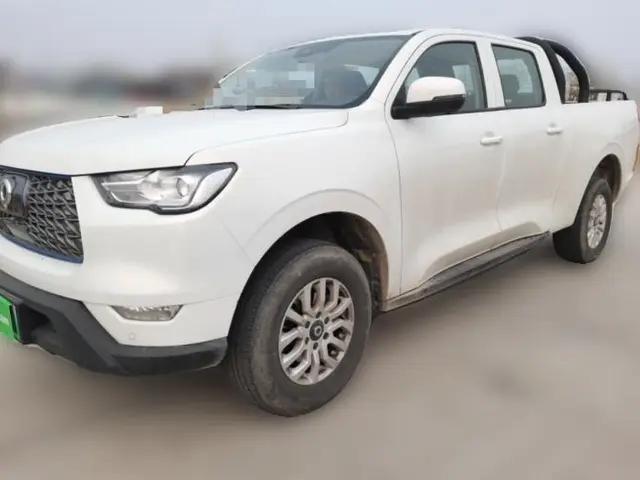 Great Wall Poer New Energy 2021 Commercial Edition Leading-Edge Big Double