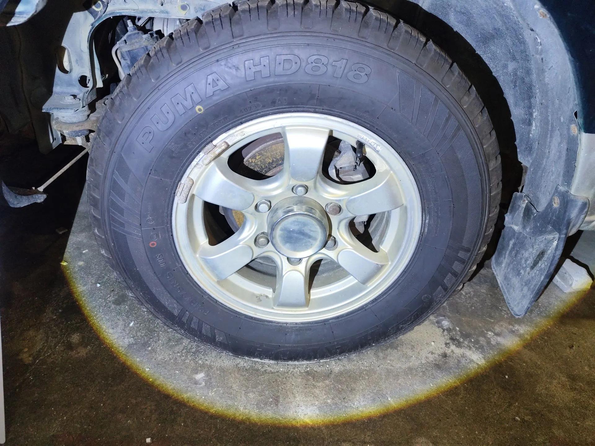 Dongfeng Ruichi 2010 3.0T Diesel Two-Wheel Drive Standard Version ZD30D13-3N — миниатюра 8