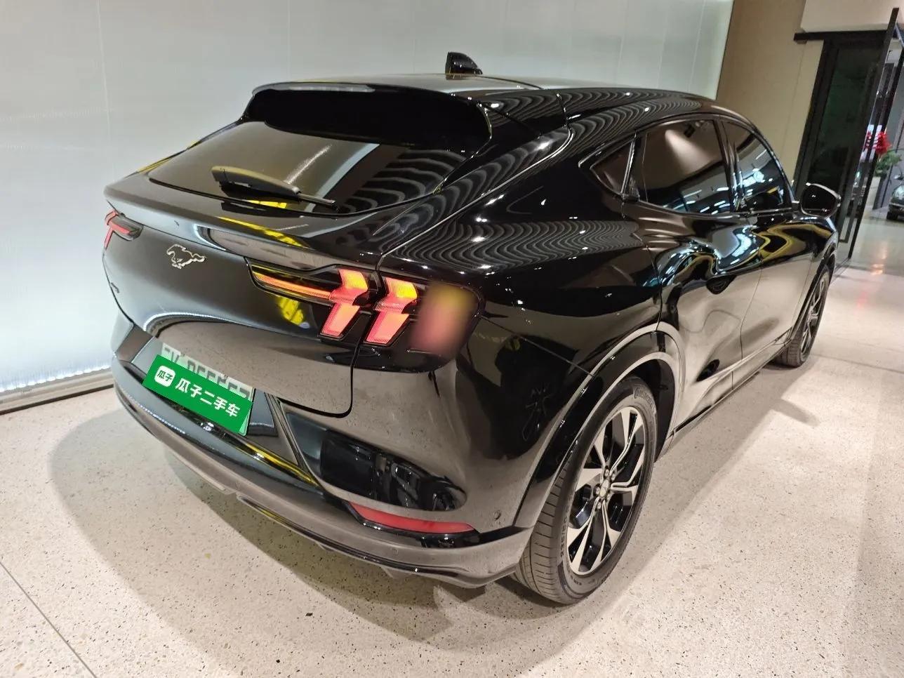 Ford Mustang Mach-E 2021 Chasing Wind All-Wheel-Drive Luxury Edition (Long-Range) — миниатюра 4