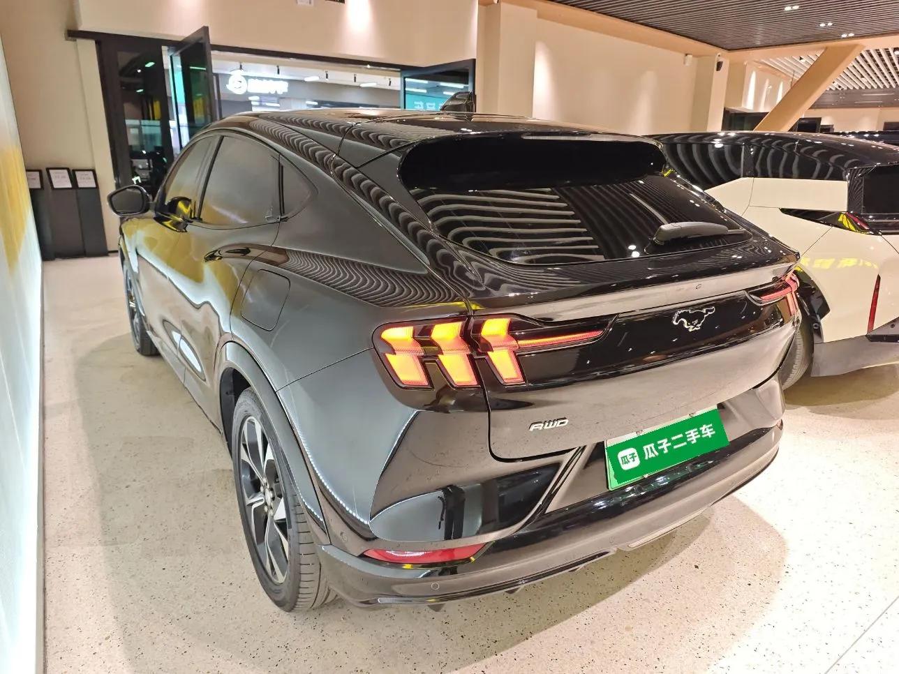 Ford Mustang Mach-E 2021 Chasing Wind All-Wheel-Drive Luxury Edition (Long-Range) — миниатюра 7