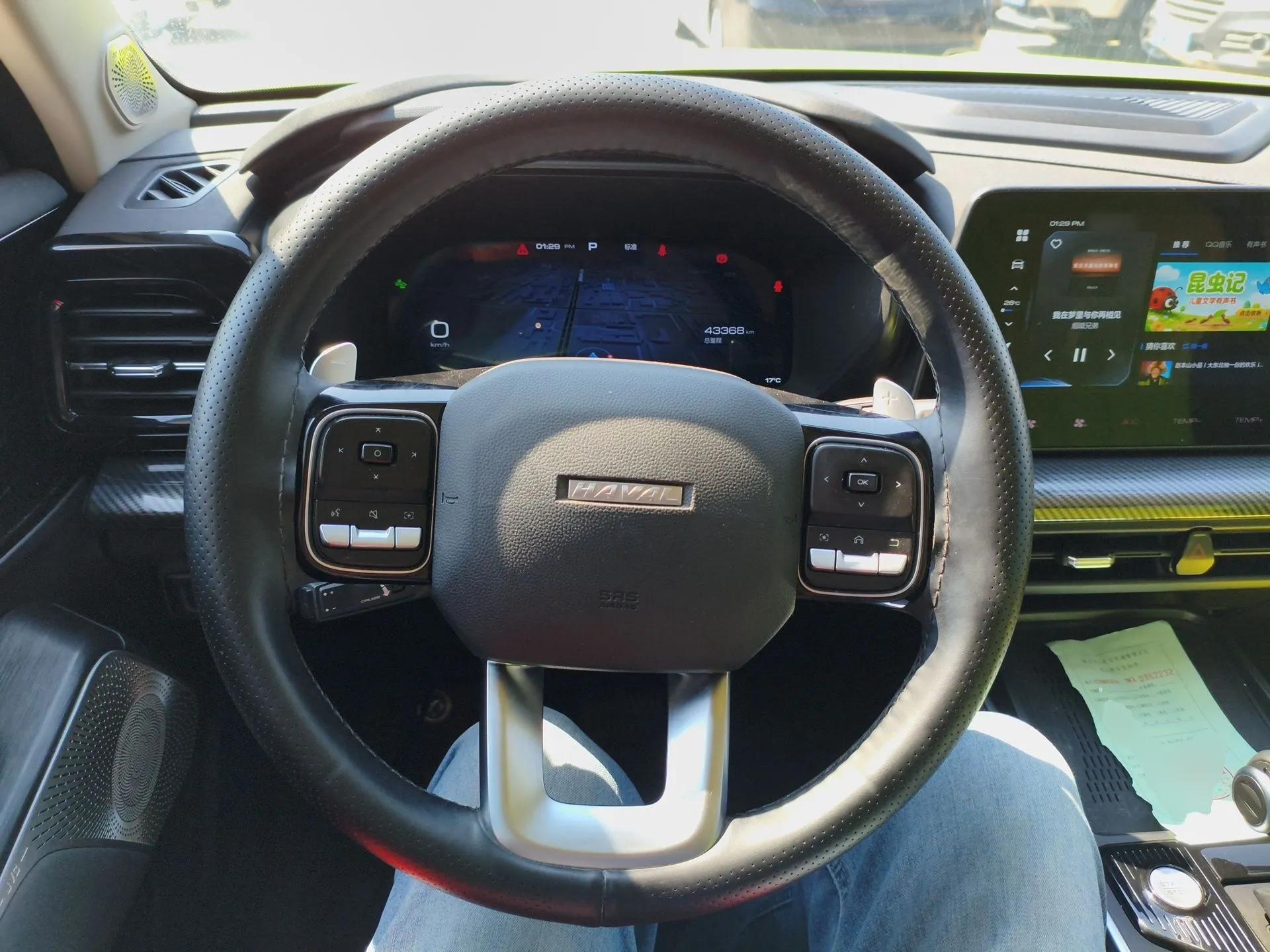 Haval X DOG 2022 1.5T DCT Two-Wheel Drive Trendy Edition — миниатюра 14