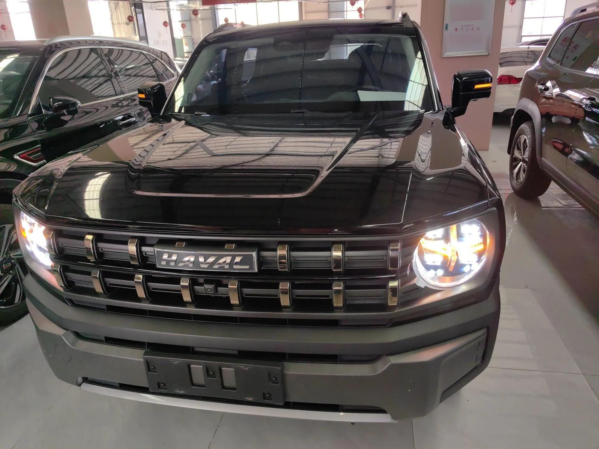 Haval X DOG 2022 1.5T DCT Four-Wheel Drive Trendy Wild Edition — миниатюра 2