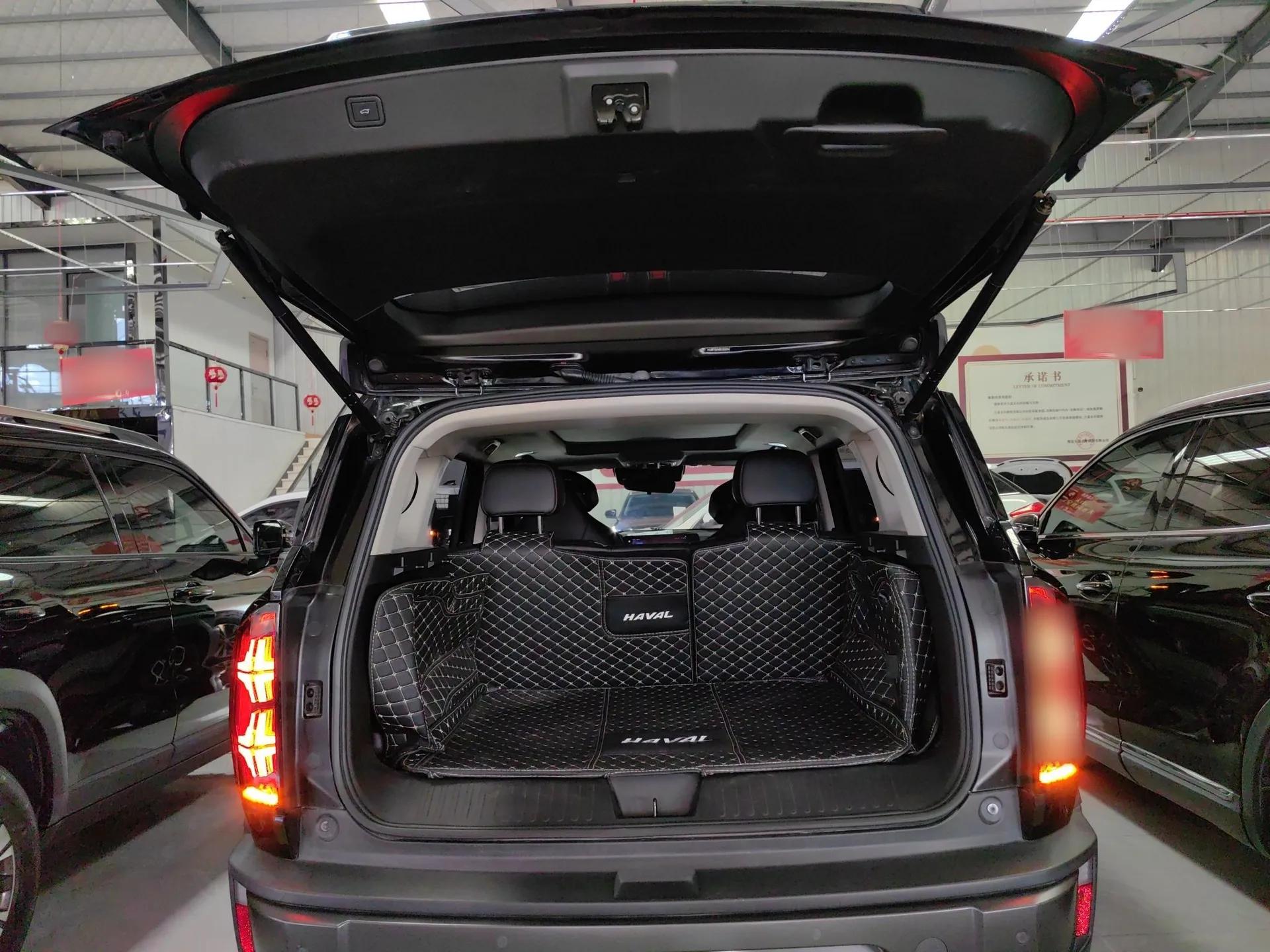 Haval X DOG 2022 1.5T DCT Four-Wheel Drive Trendy Wild Edition — миниатюра 22