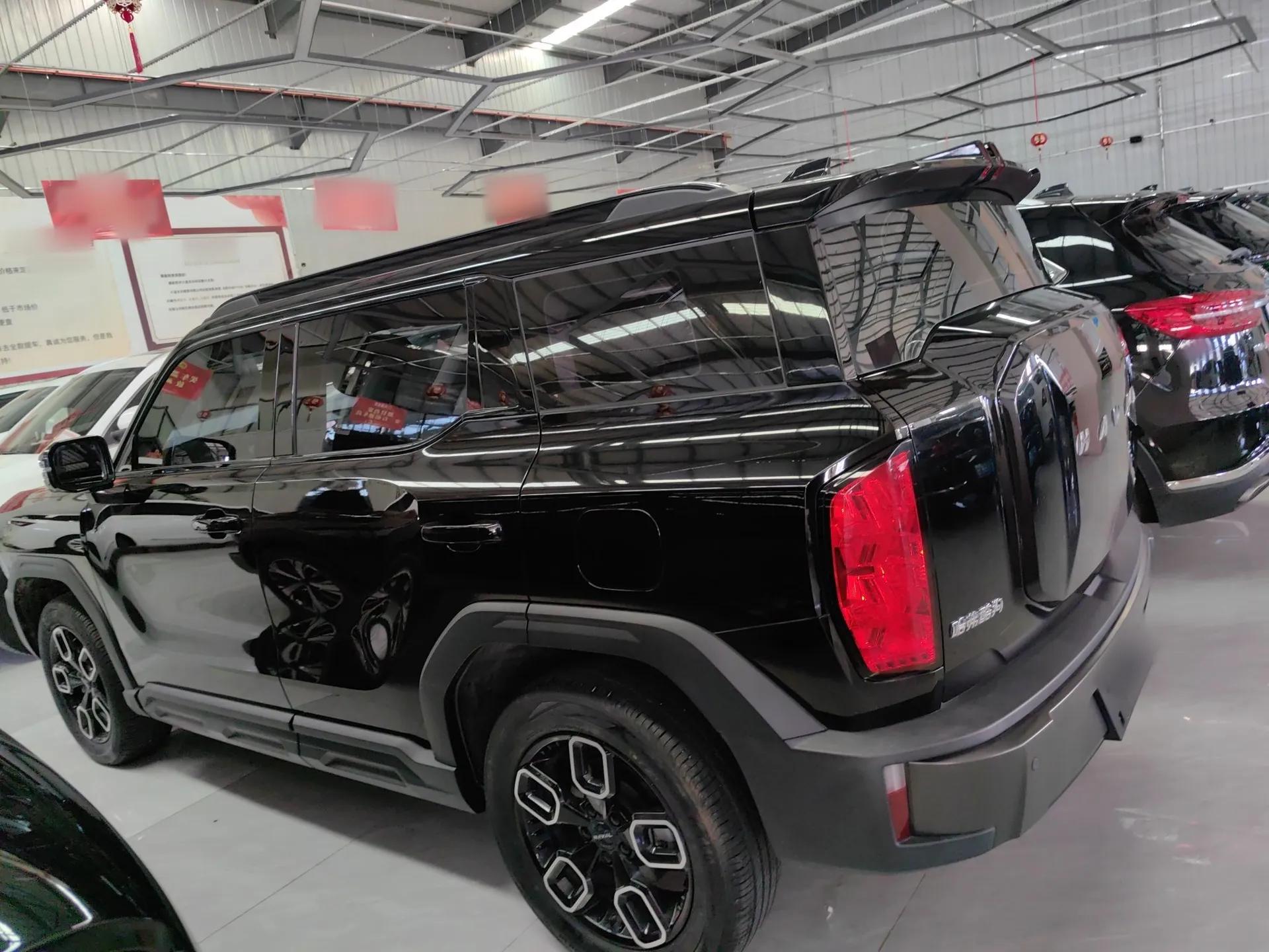 Haval X DOG 2022 1.5T DCT Four-Wheel Drive Trendy Wild Edition — миниатюра 4