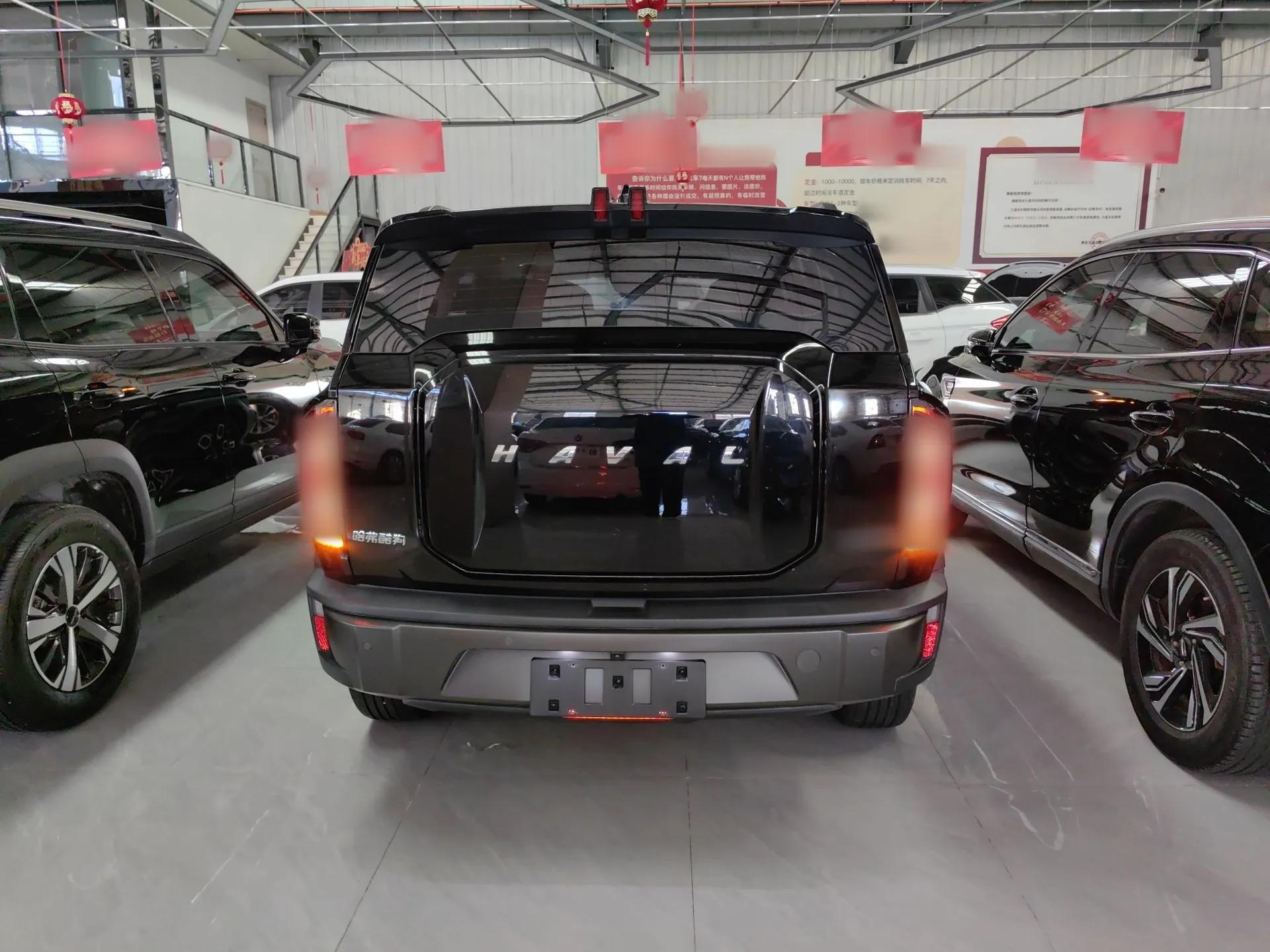 Haval X DOG 2022 1.5T DCT Four-Wheel Drive Trendy Wild Edition — миниатюра 5