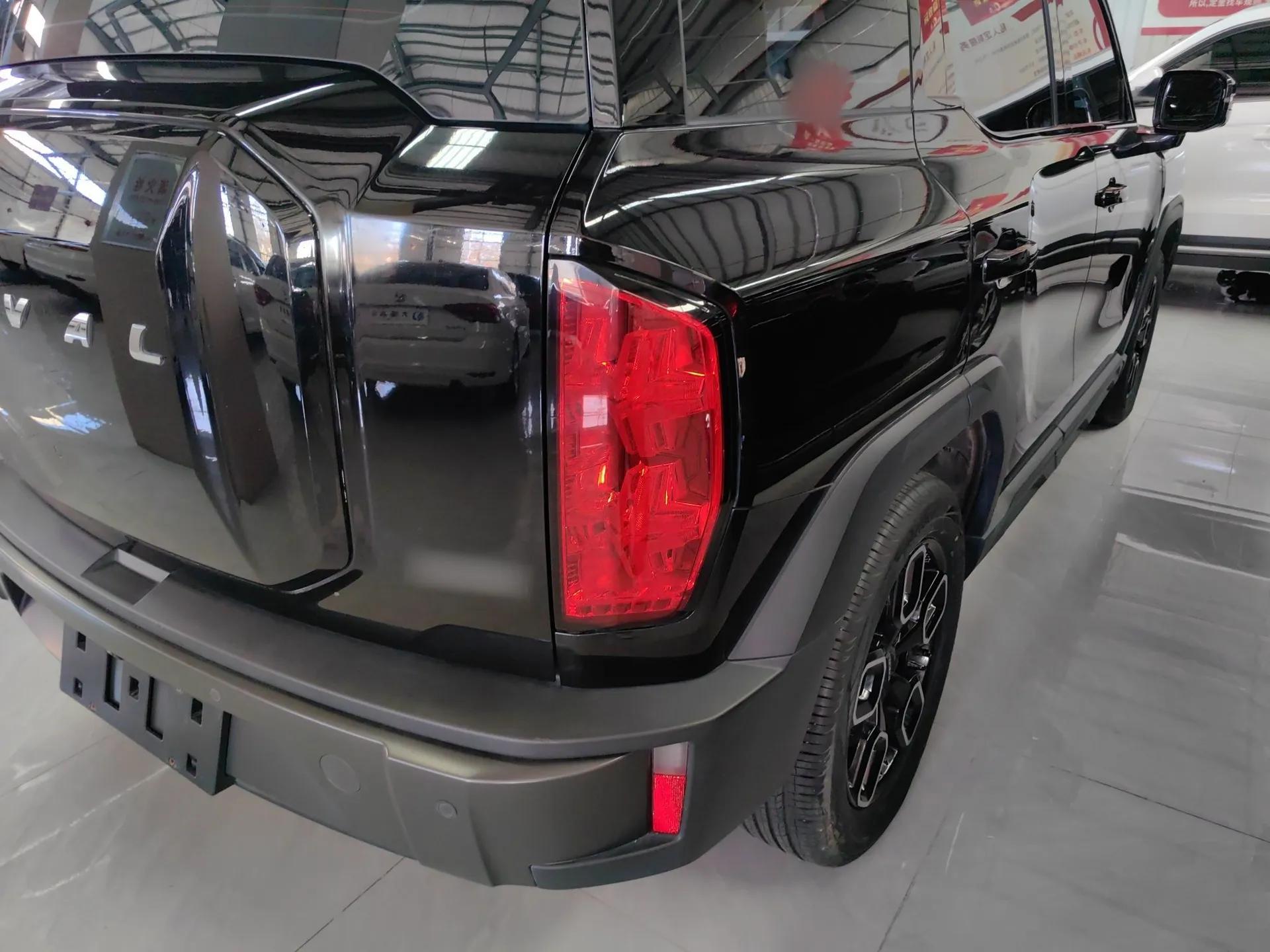 Haval X DOG 2022 1.5T DCT Four-Wheel Drive Trendy Wild Edition — миниатюра 7