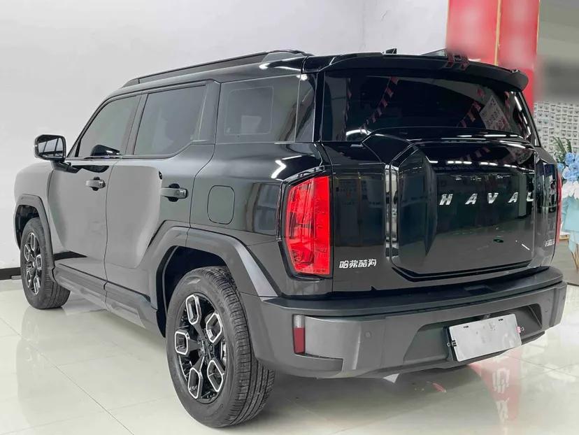 Haval X DOG 2022 1.5T DCT Four-Wheel Drive Trendy Wild Edition — миниатюра 3