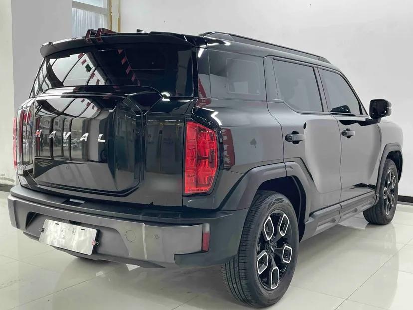 Haval X DOG 2022 1.5T DCT Four-Wheel Drive Trendy Wild Edition — миниатюра 5
