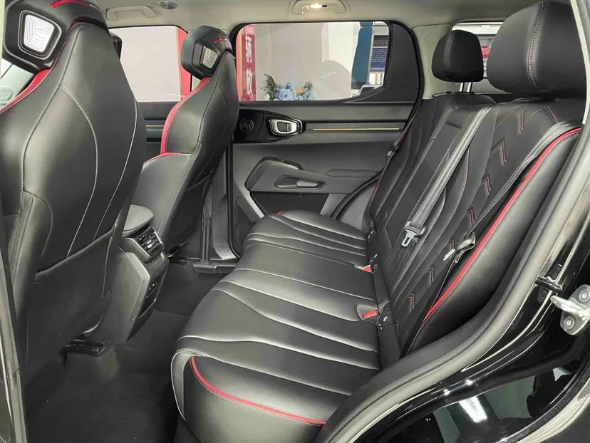Haval X DOG 2022 1.5T DCT Four-Wheel Drive Trendy Wild Edition — миниатюра 9