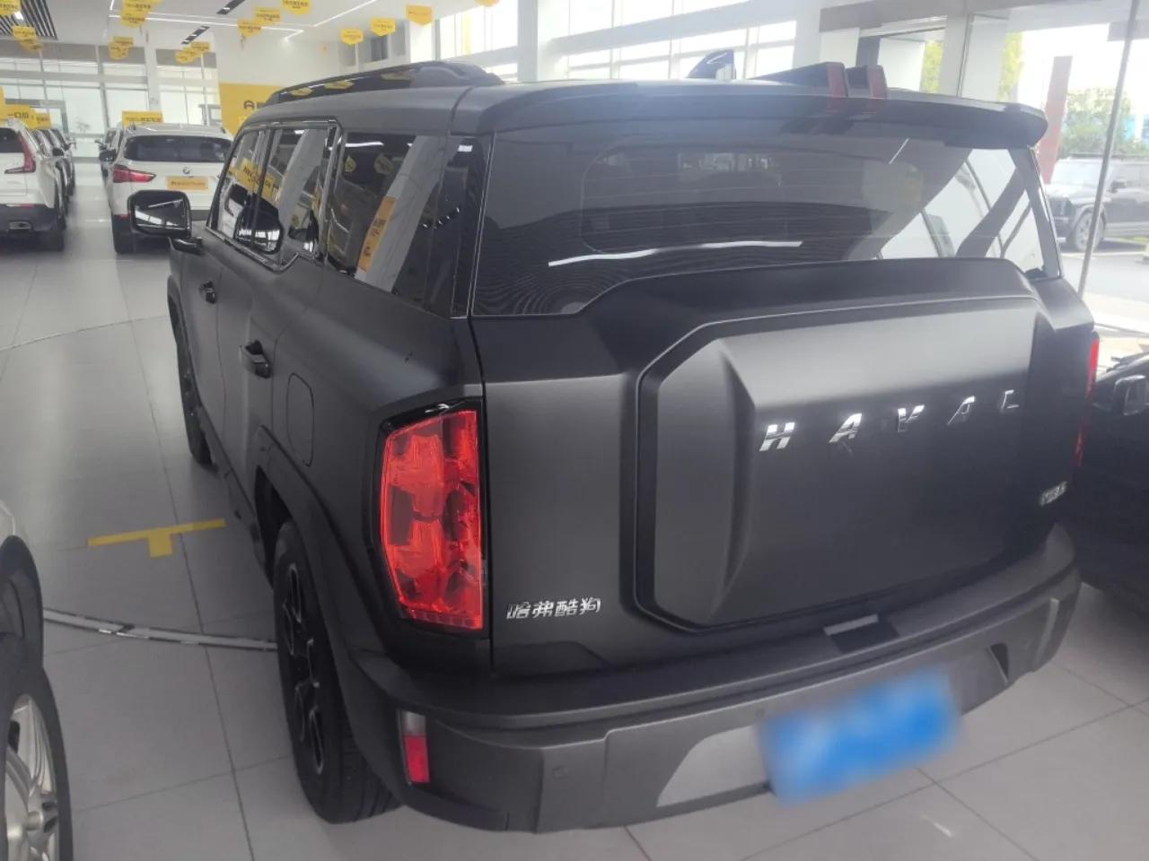 Haval X DOG 2022 1.5T DCT Two-Wheel Drive Trendy Edition — миниатюра 7