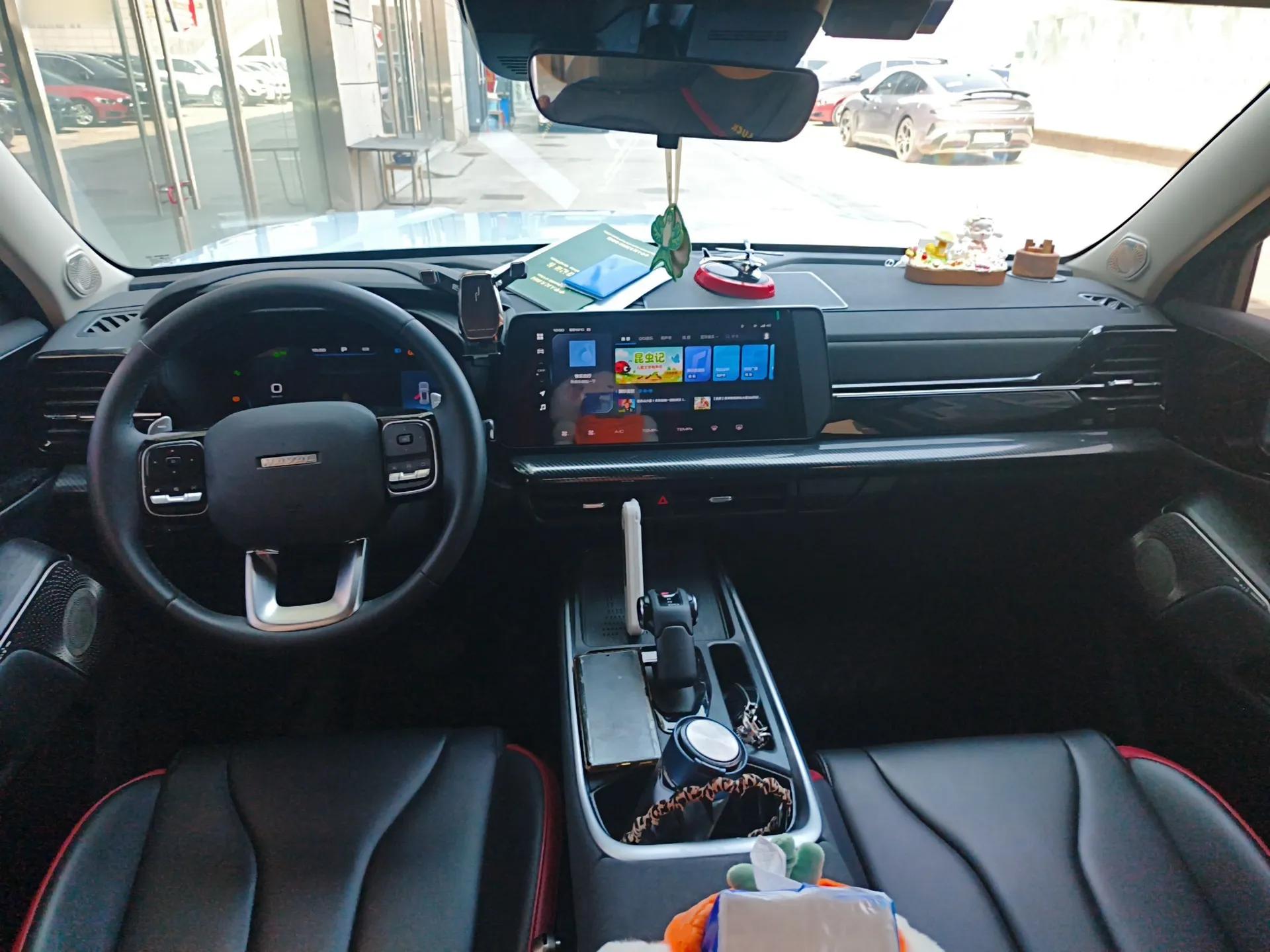 Haval X DOG 2022 1.5T DCT Two-Wheel Drive Trendy Edition — миниатюра 13