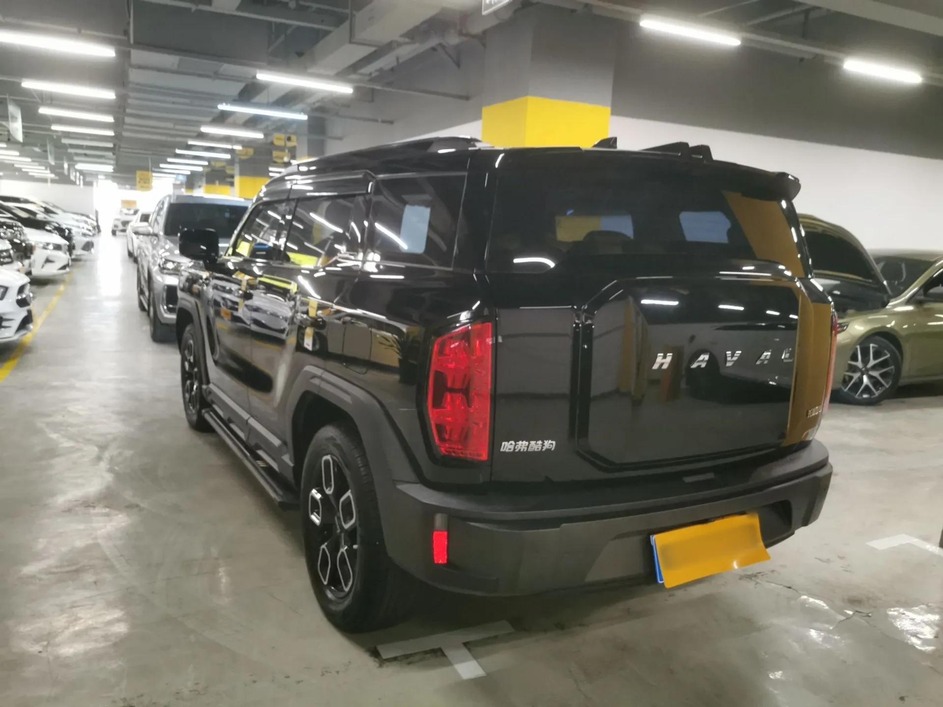 Haval X DOG 2022 1.5T DCT Two-Wheel Drive Trendy Edition — миниатюра 4