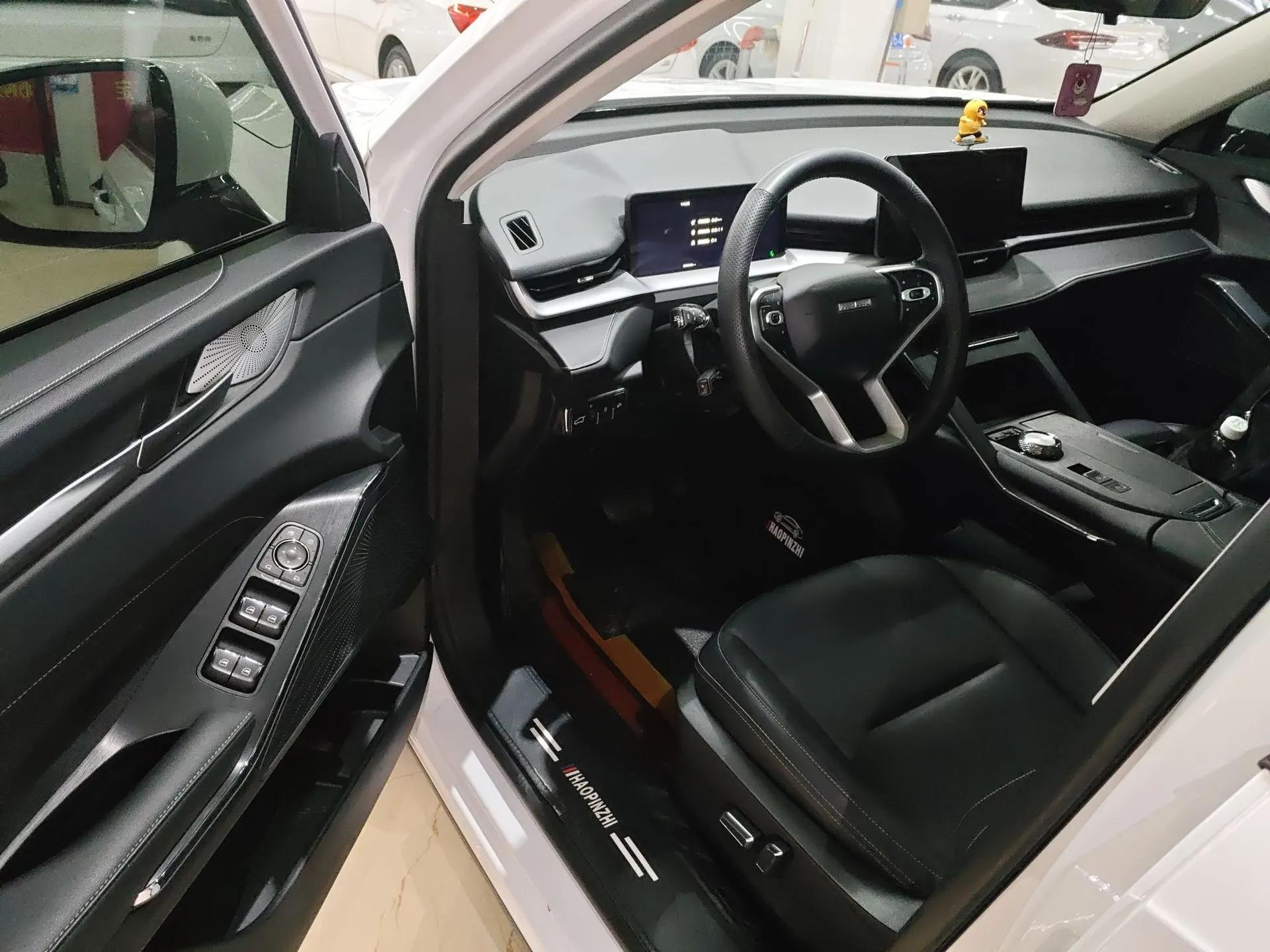 Haval H6 New Energy 2023 DHT-PHEV 110KM Enjoyment Edition — миниатюра 19